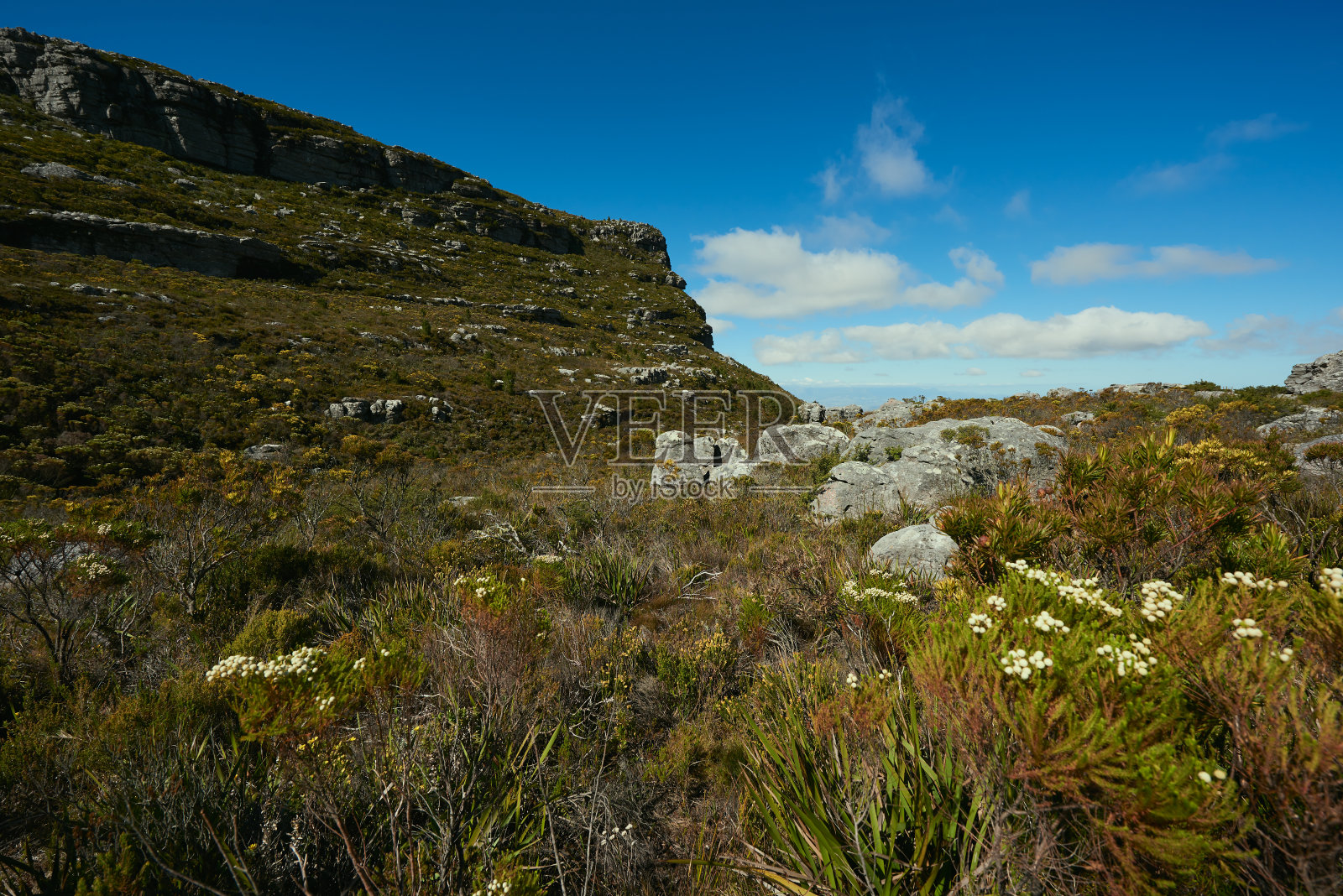 从山上俯瞰照片摄影图片