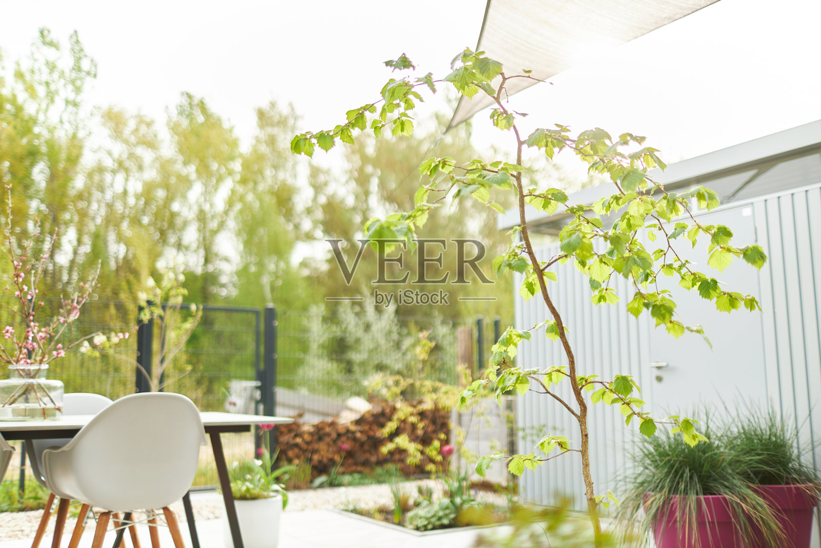 现代城市花园的各种照片,详细的花和花园家具的图片照片摄影图片