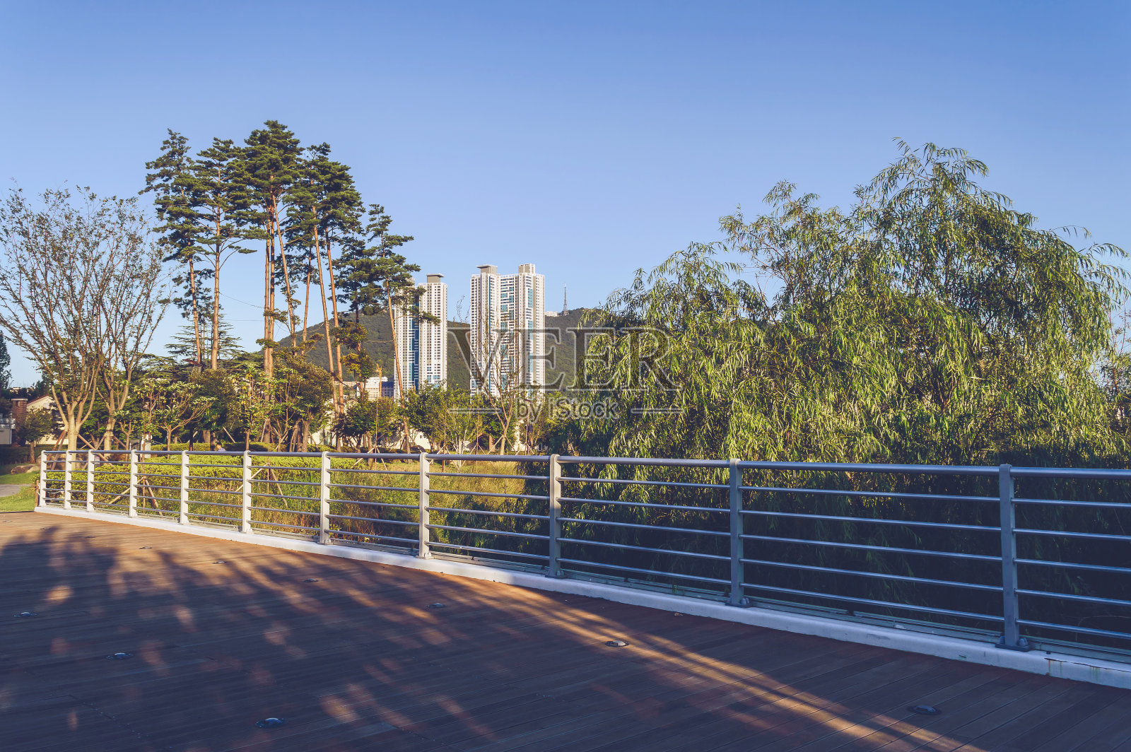 从釜山市民公园的一座桥上看,公园里有山和树照片摄影图片