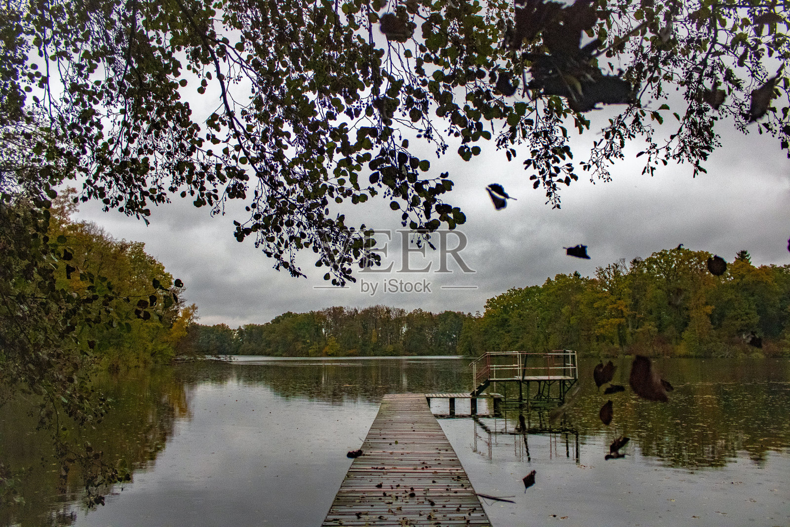 Waldsee在秋天照片摄影图片