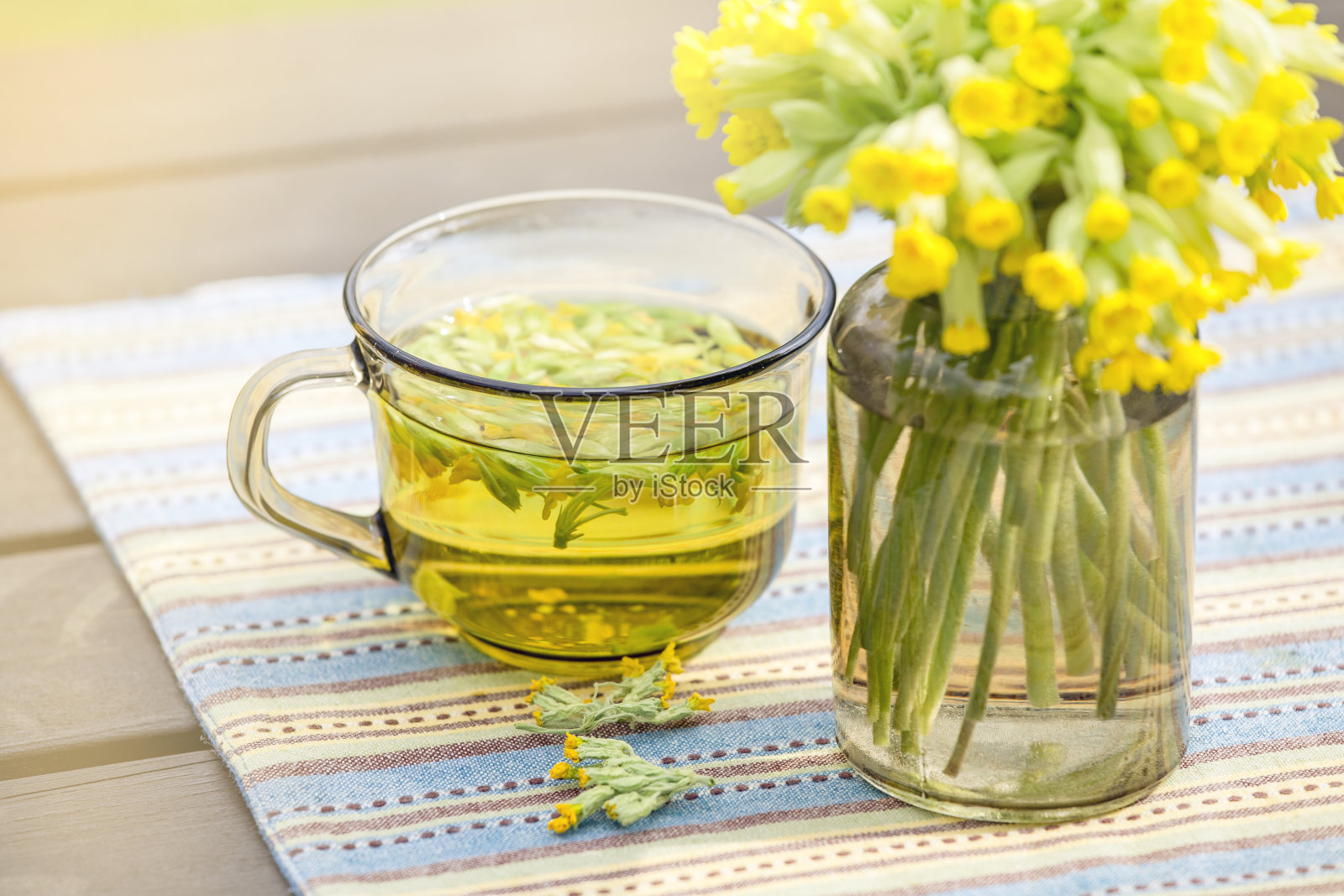一杯报春花茶(九轮草、普通九轮草、报春花;报春花山户外鲜花盛开,绿树成荫。替代医学概念。照片摄影图片