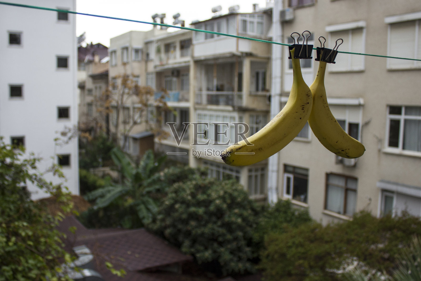 水果库存图片照片摄影图片