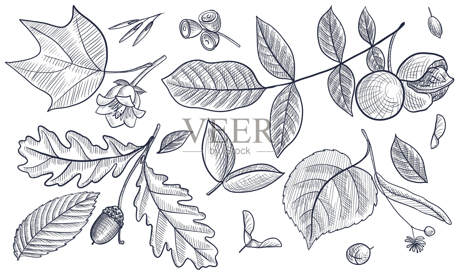 复古绘花设计设计元素图片