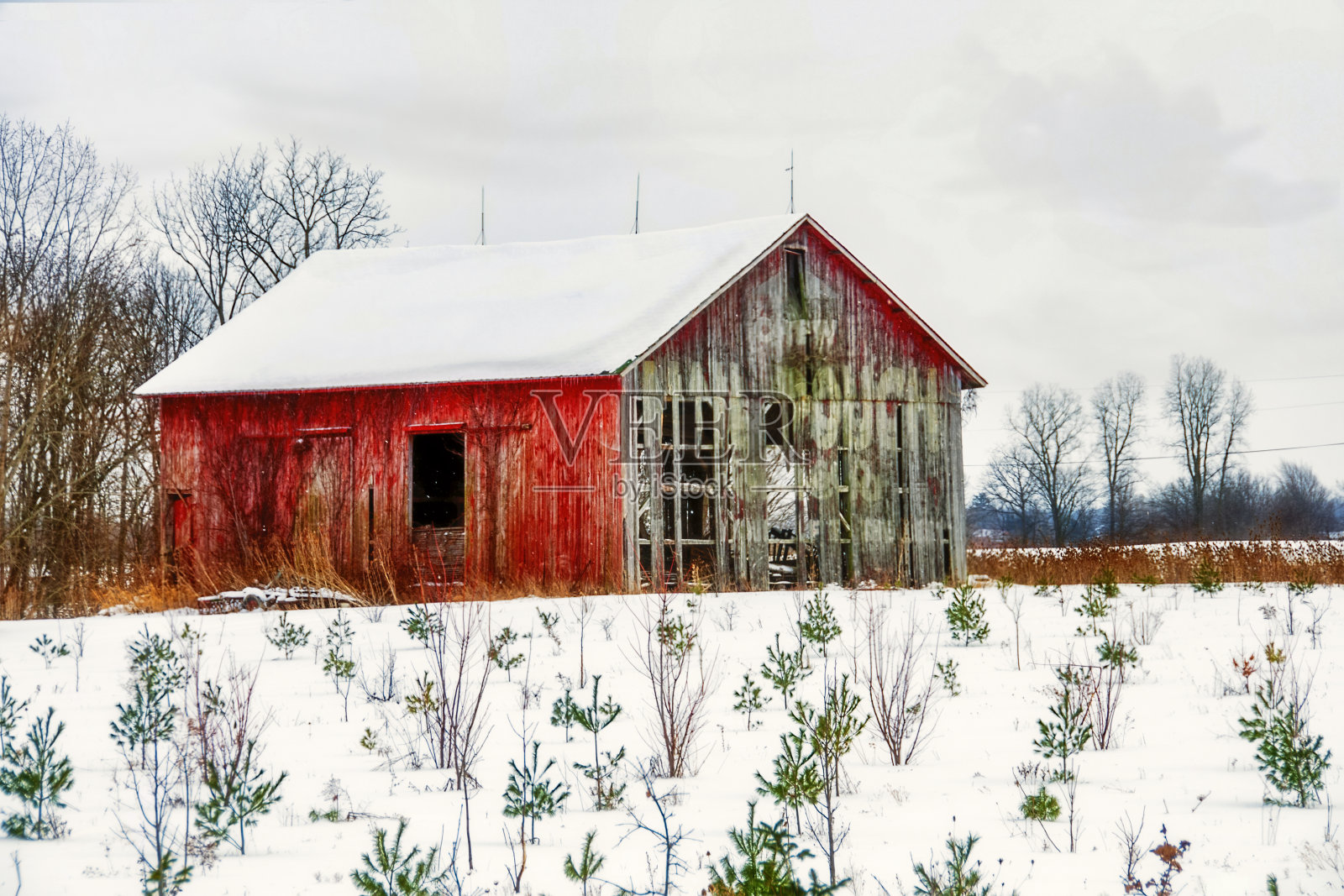 废弃旧红谷仓照片摄影图片