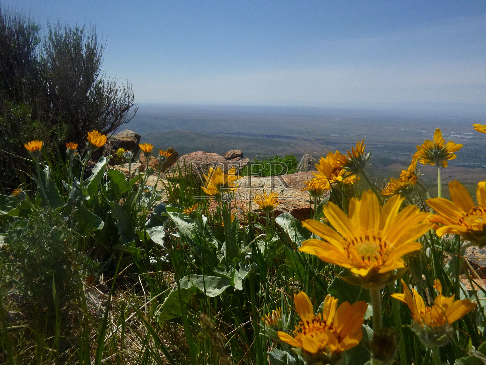 爱达荷州的美丽照片摄影图片