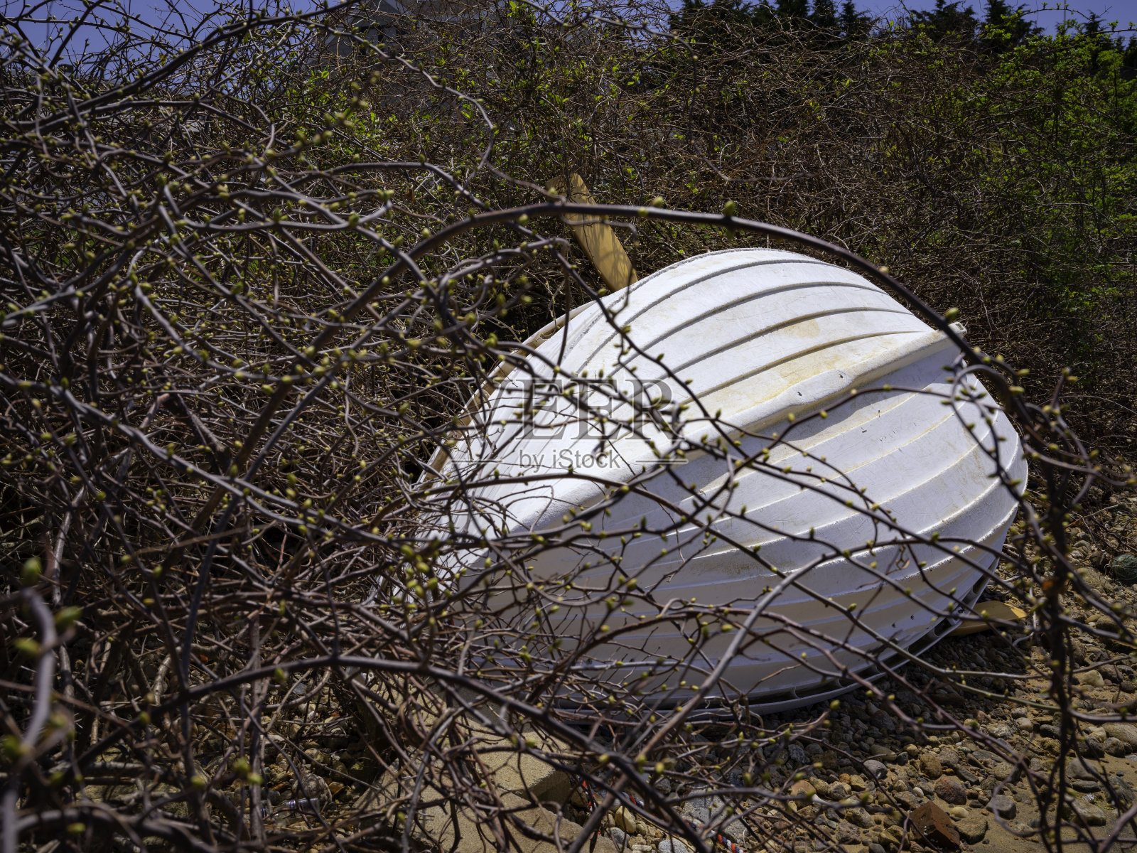 翻船的白色小艇缠满了野藤照片摄影图片