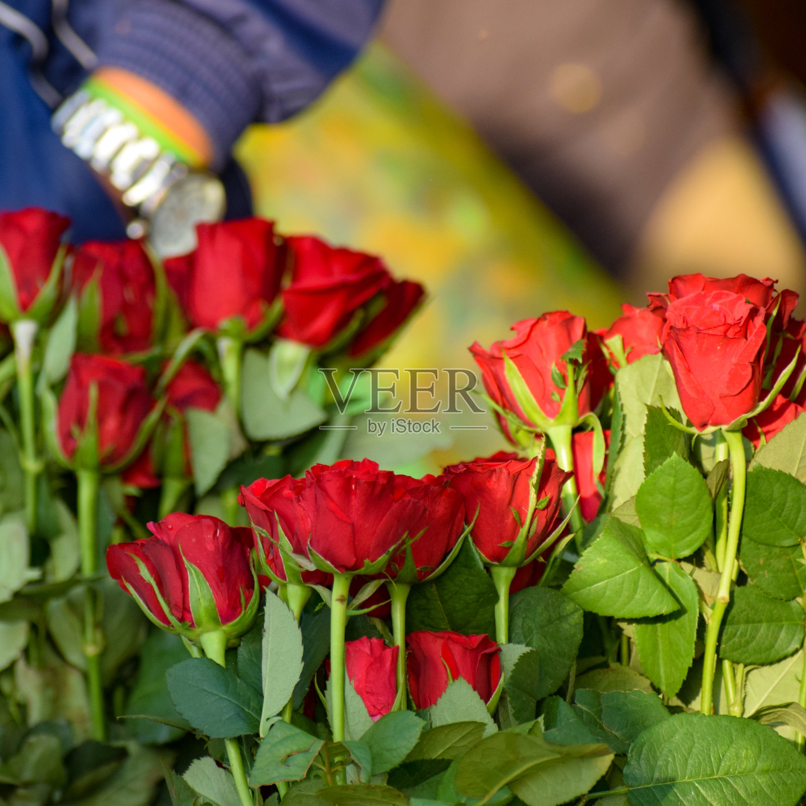 Ghazipur Phool Mandi鲜花市场上午情况,鲜花本身来自中国,越南,泰国和印度照片摄影图片