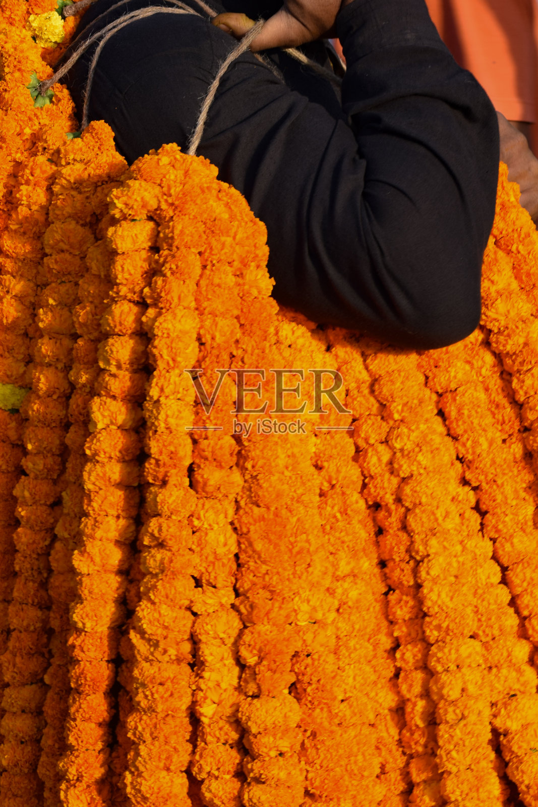 Ghazipur Phool Mandi鲜花市场上午情况,鲜花本身来自中国,越南,泰国和印度照片摄影图片