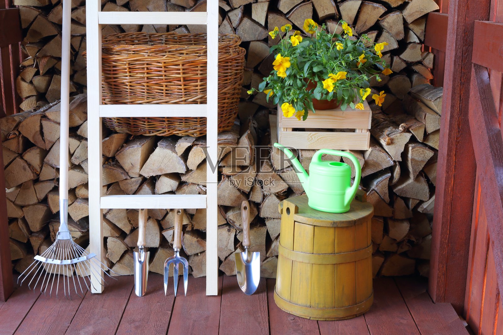 园艺工具和矮牵牛花丛。照片摄影图片