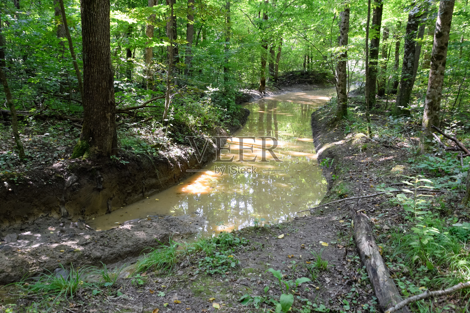 肮脏模糊的有很深车辙的森林道路。照片摄影图片
