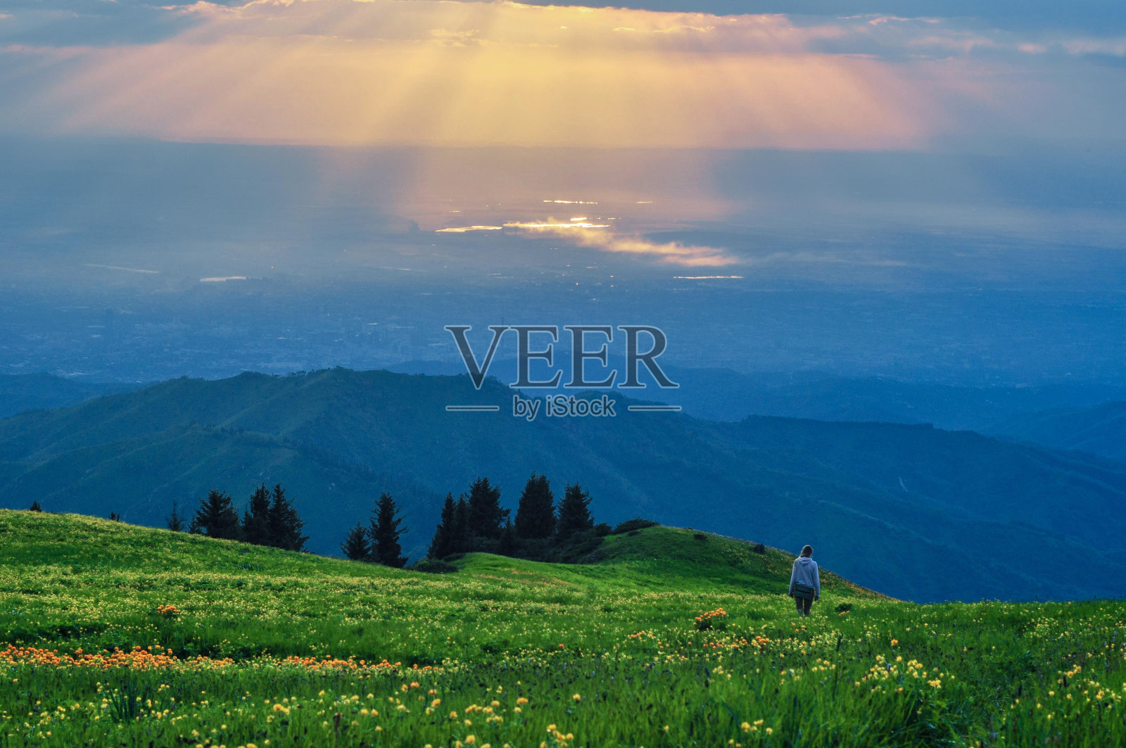 以山为背景的绿色山谷全景照片摄影图片