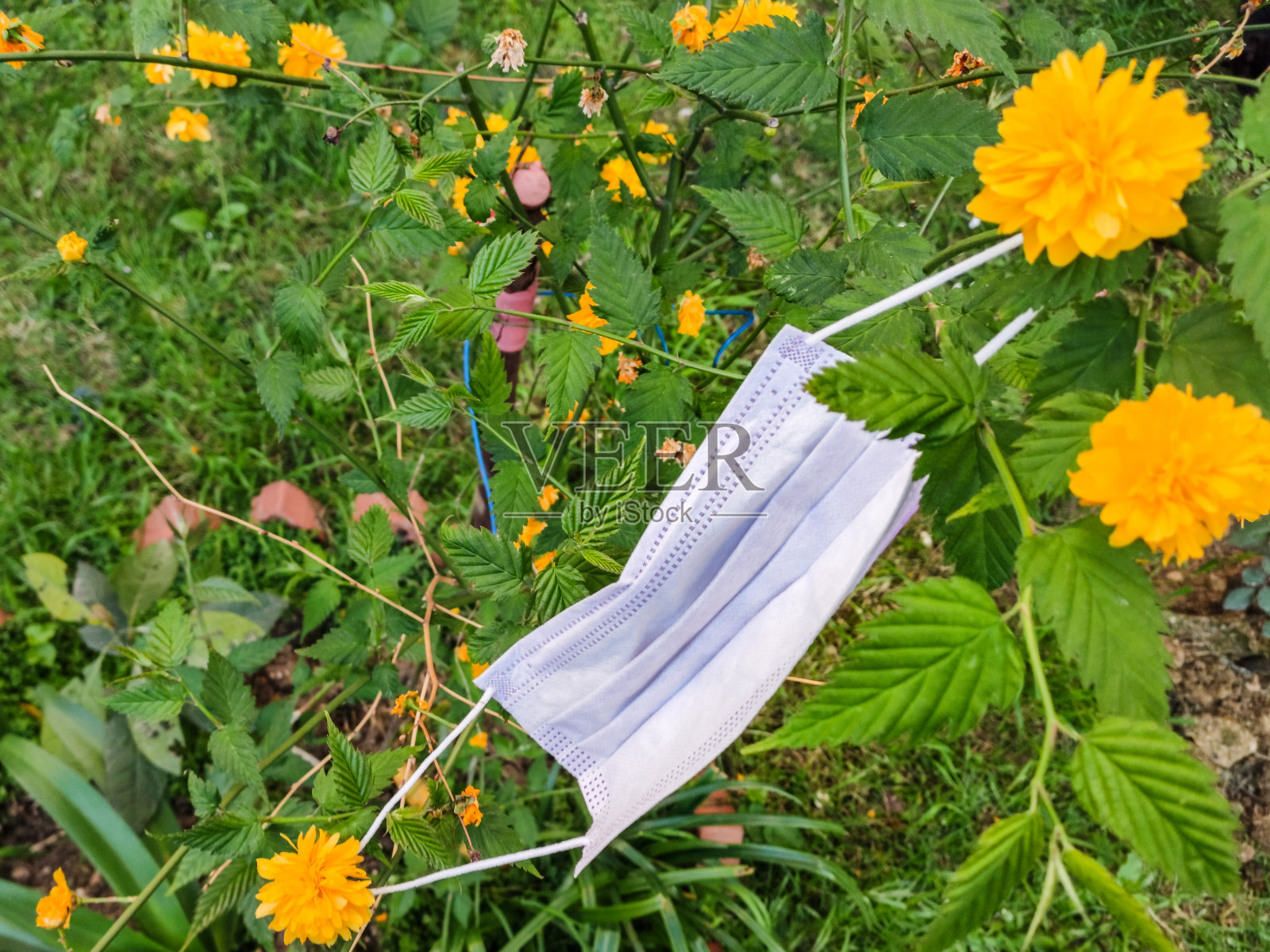 典型的三层外科口罩,用以覆盖口鼻。照片摄影图片
