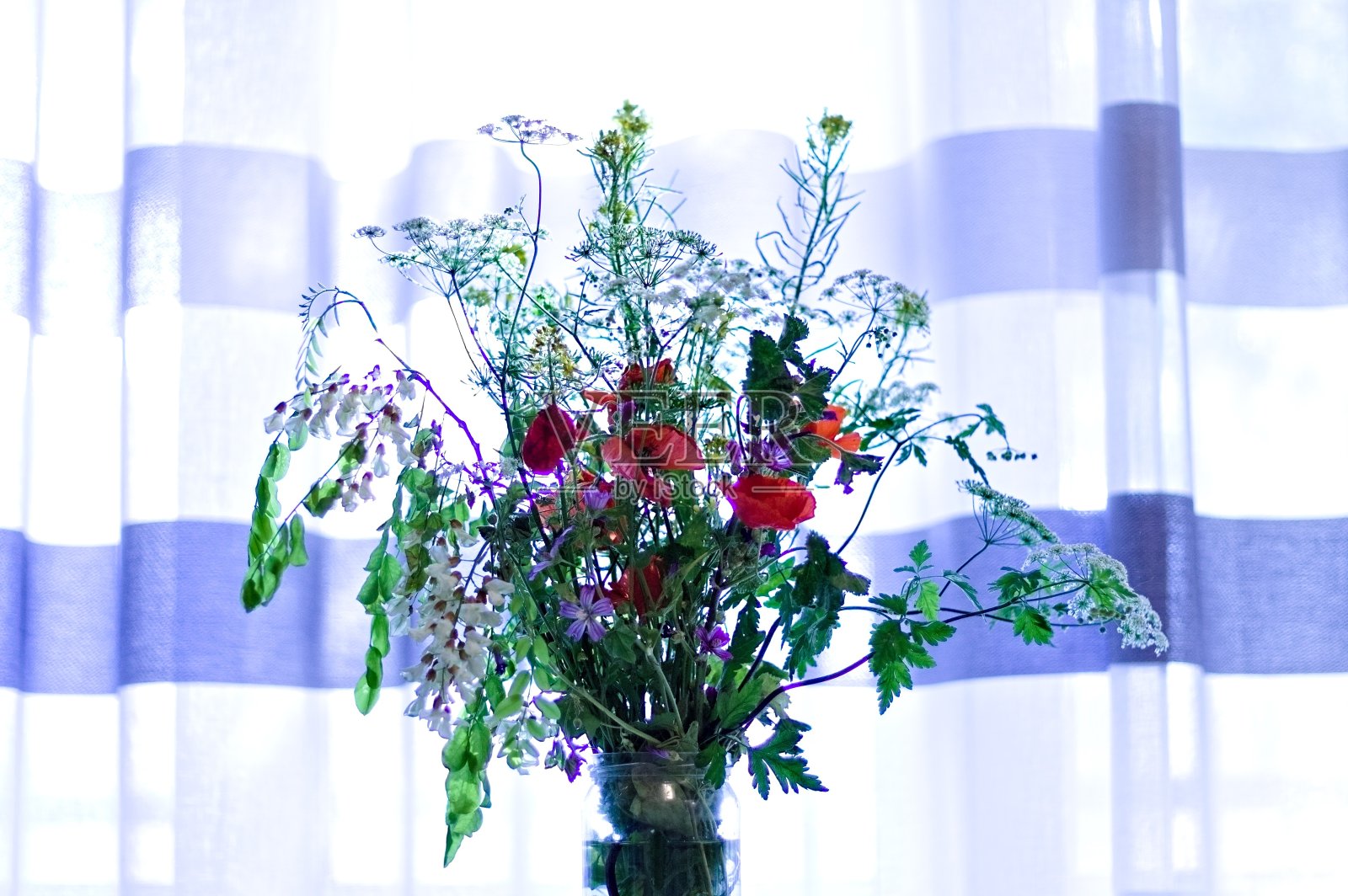 花瓶里的一束彩花,背景是条纹窗帘(意大利,欧洲)照片摄影图片
