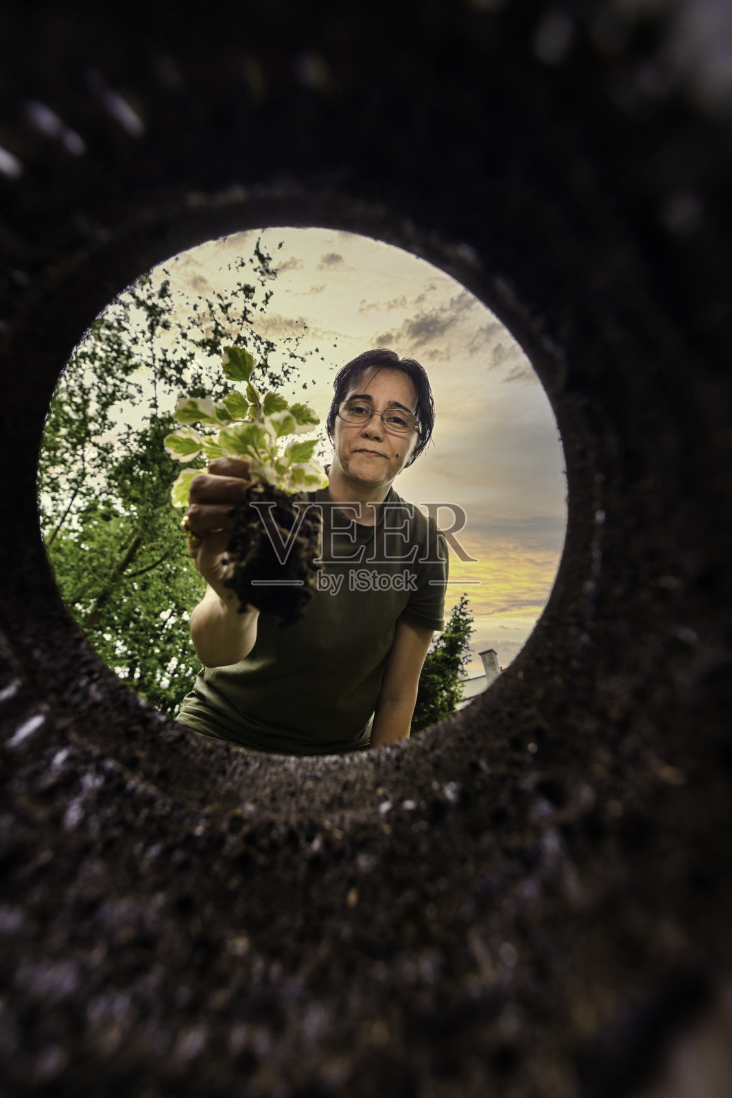 在空地上种花照片摄影图片