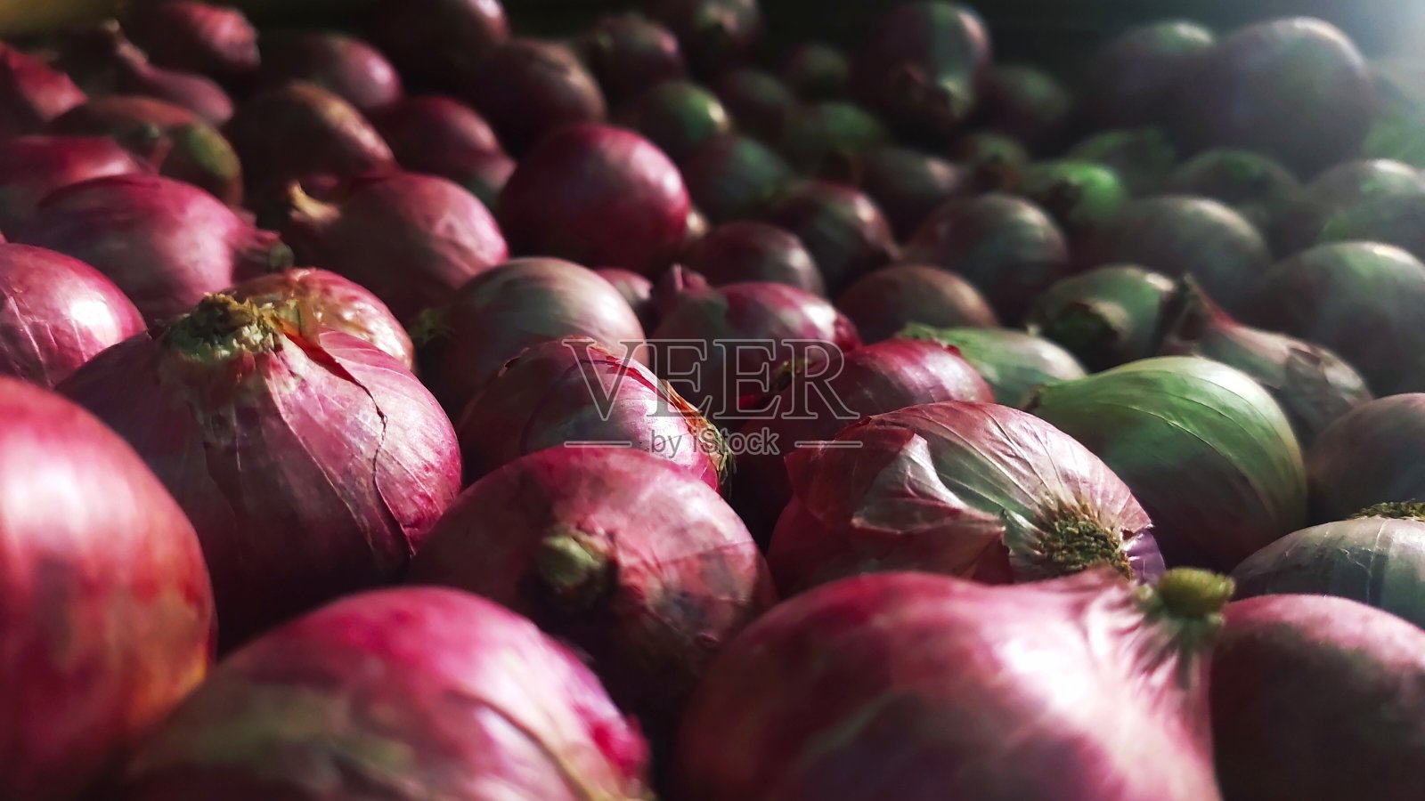 新鲜的红洋葱照片摄影图片