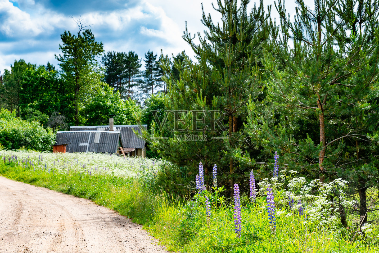 达查湖。照片摄影图片