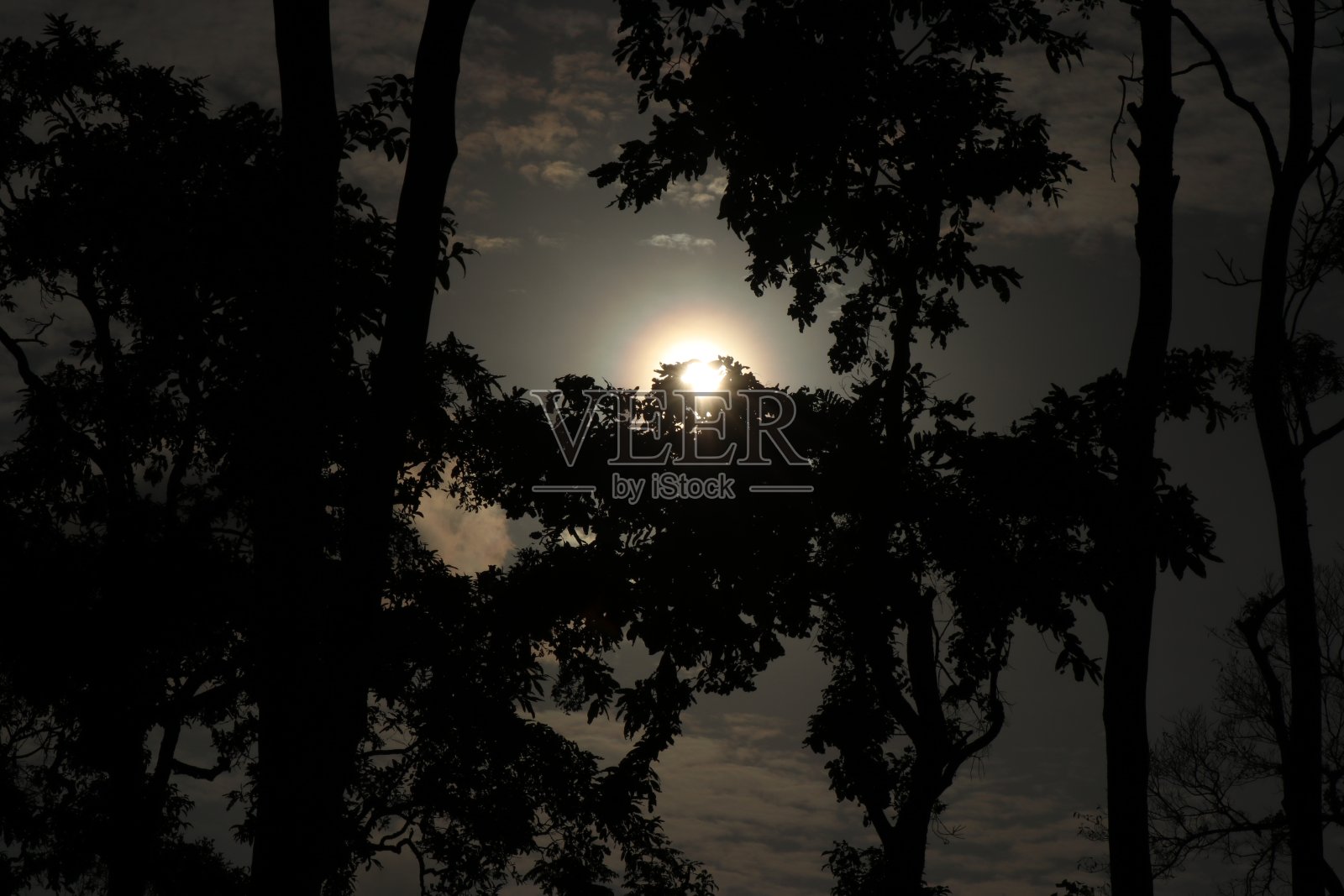 傍晚时分,太阳在树叶背后形成心形照片摄影图片