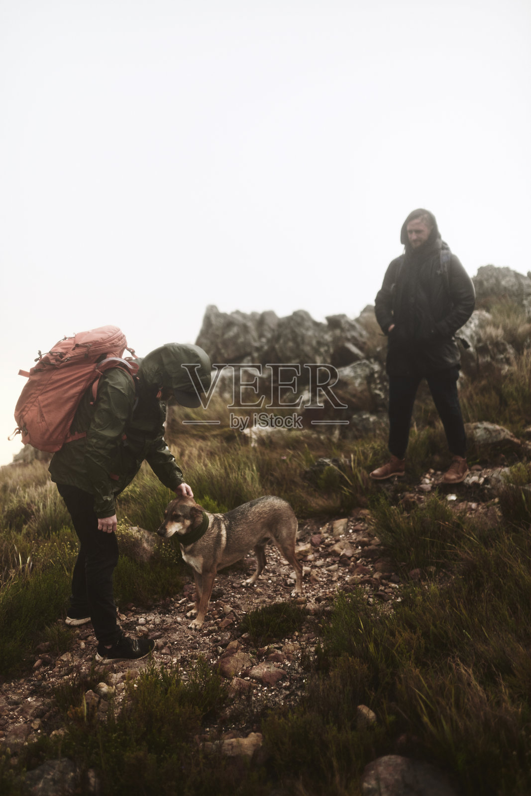 没有人比我的狗更喜欢徒步旅行照片摄影图片