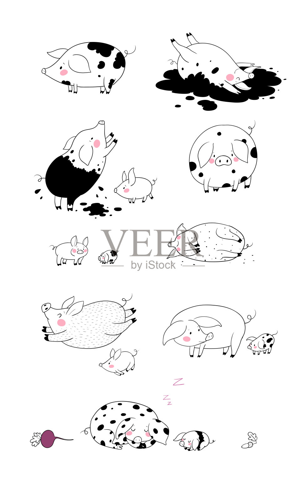 配有可爱的卡通猪。农场动物。不同姿势的猪插画图片素材