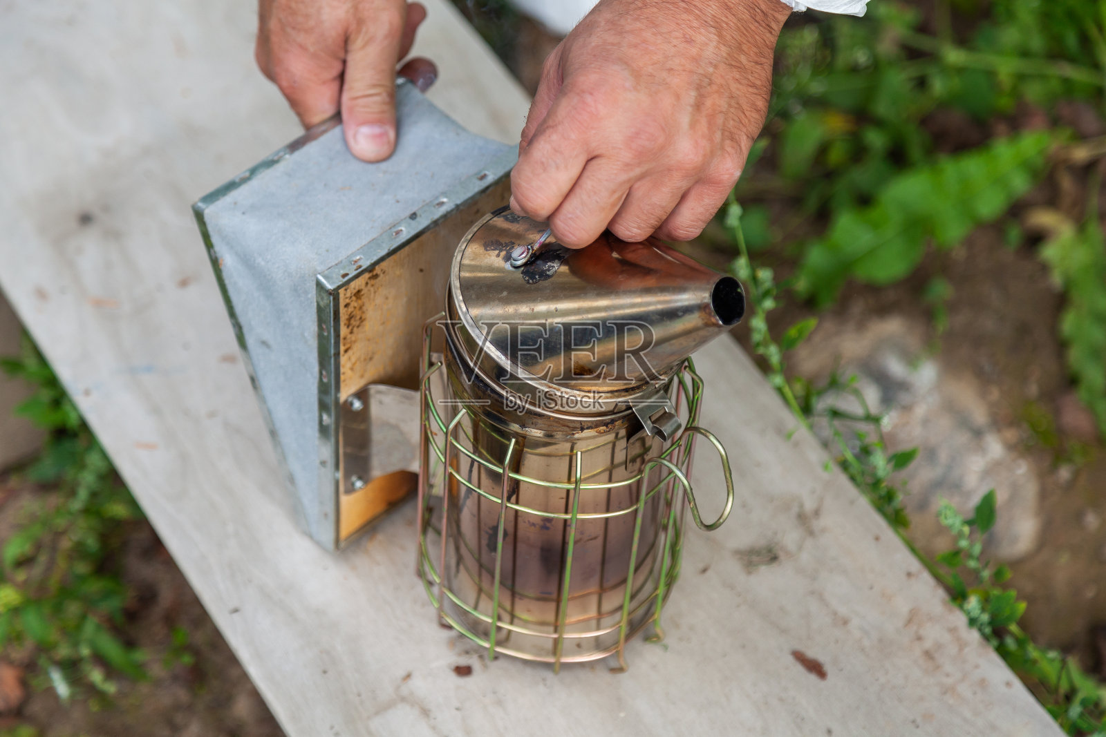 从蜂房中提取蜂蜜的过程照片摄影图片