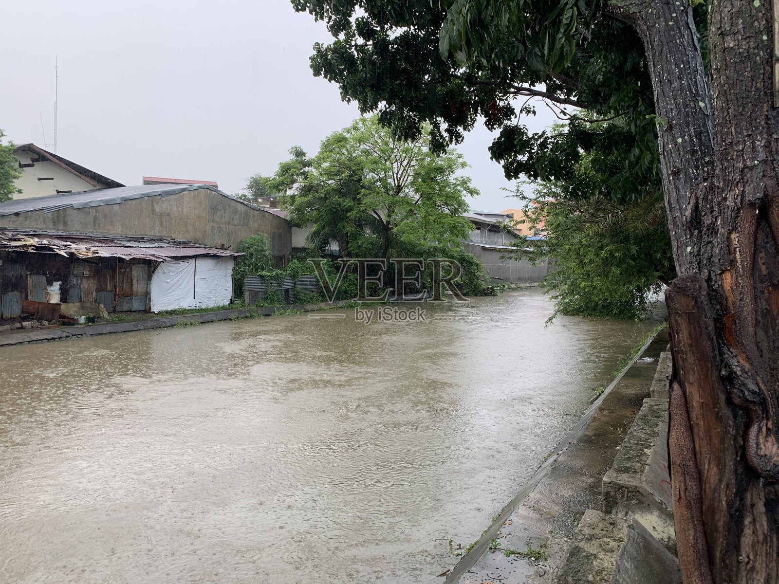 由于下雨,河水几乎涨满了照片摄影图片