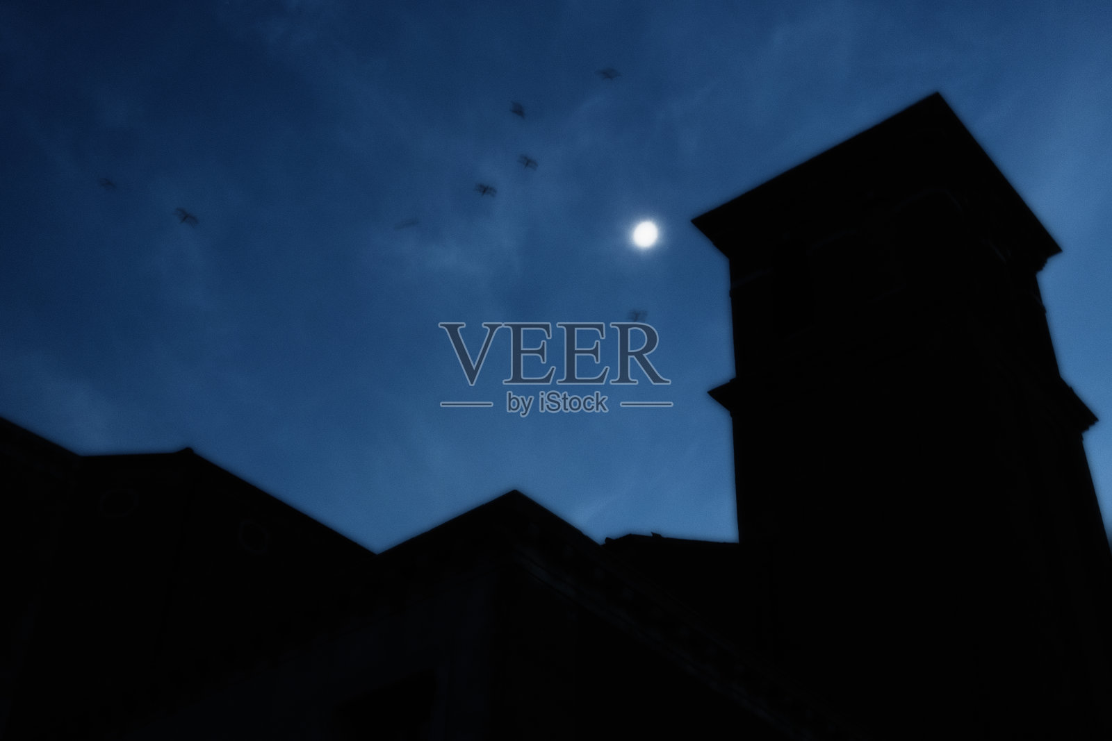 鸟儿绕着塔飞照片摄影图片