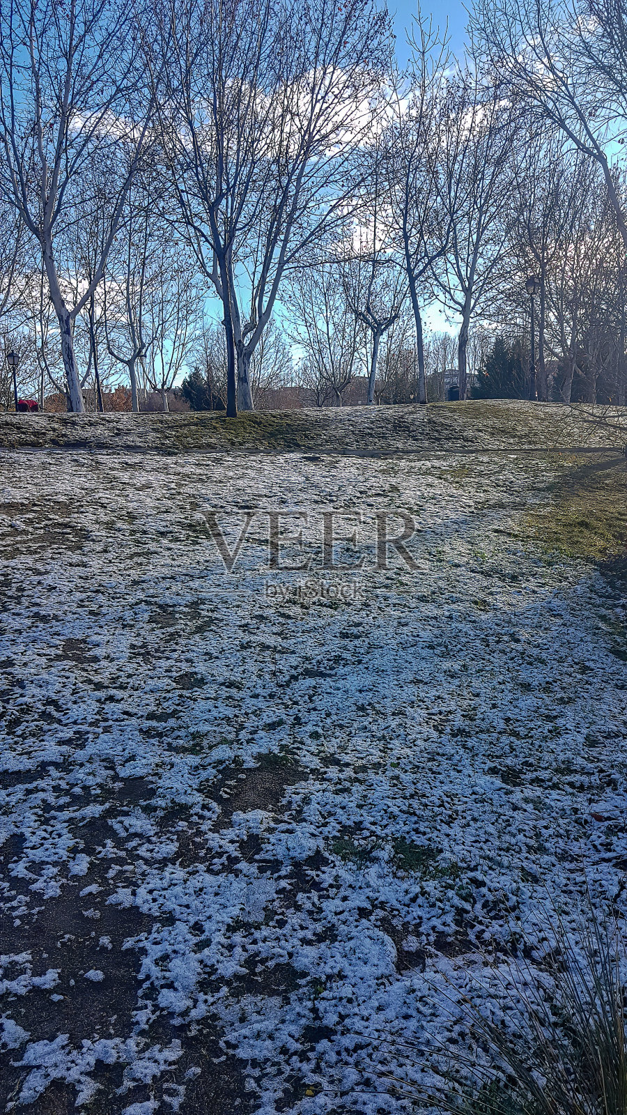 草和雪融化照片摄影图片