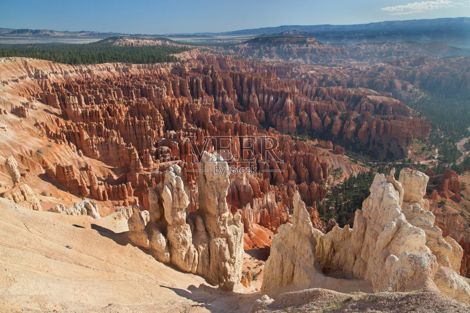 灵感点照片摄影图片