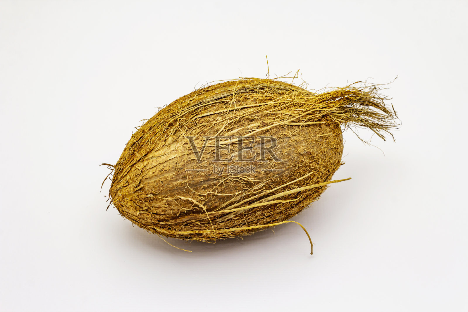 在白色背景上分离出新鲜成熟的椰子照片摄影图片