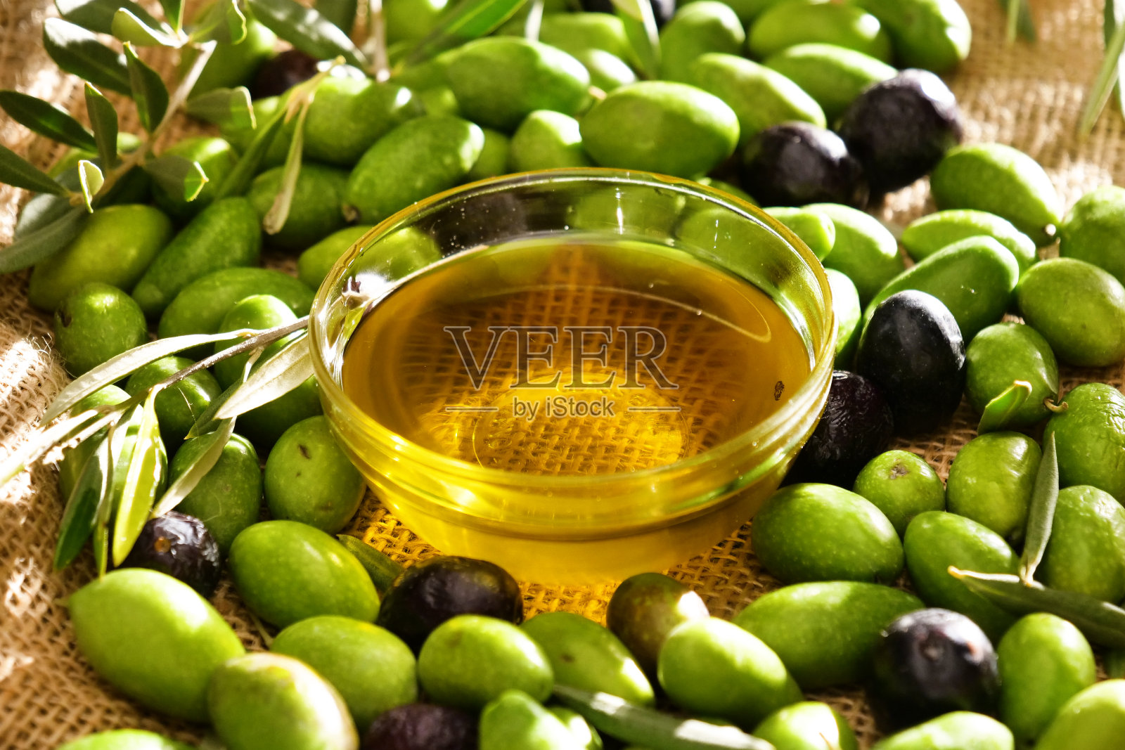 新鲜收获的意大利真正橄榄的组成,提供高品质的油生产。照片摄影图片