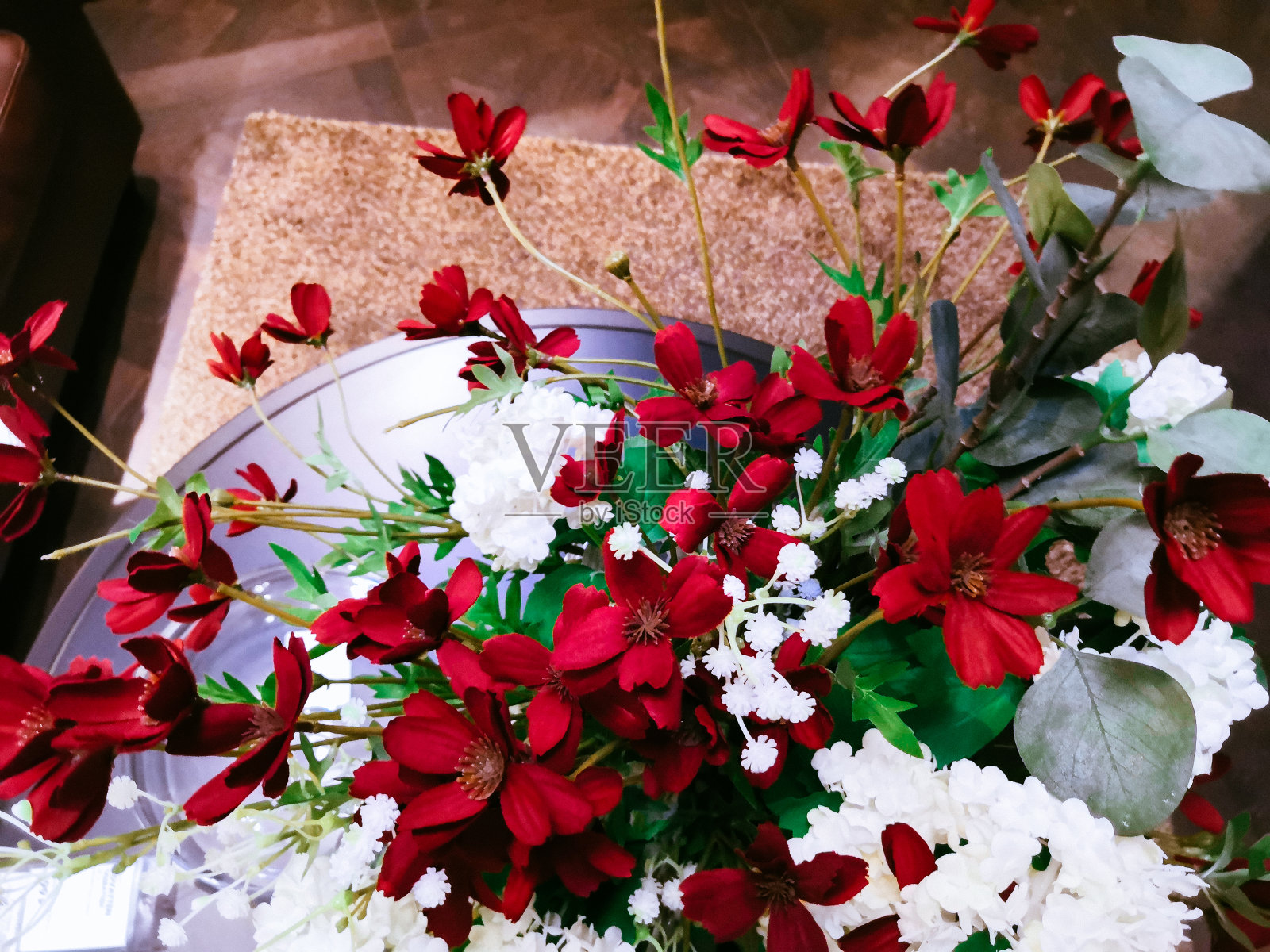 室内盆栽照片摄影图片