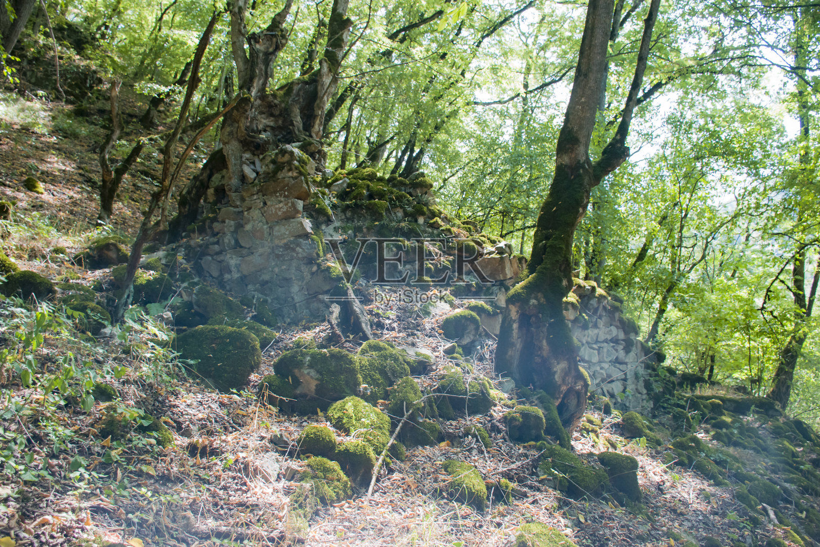 我的旅行照片照片摄影图片