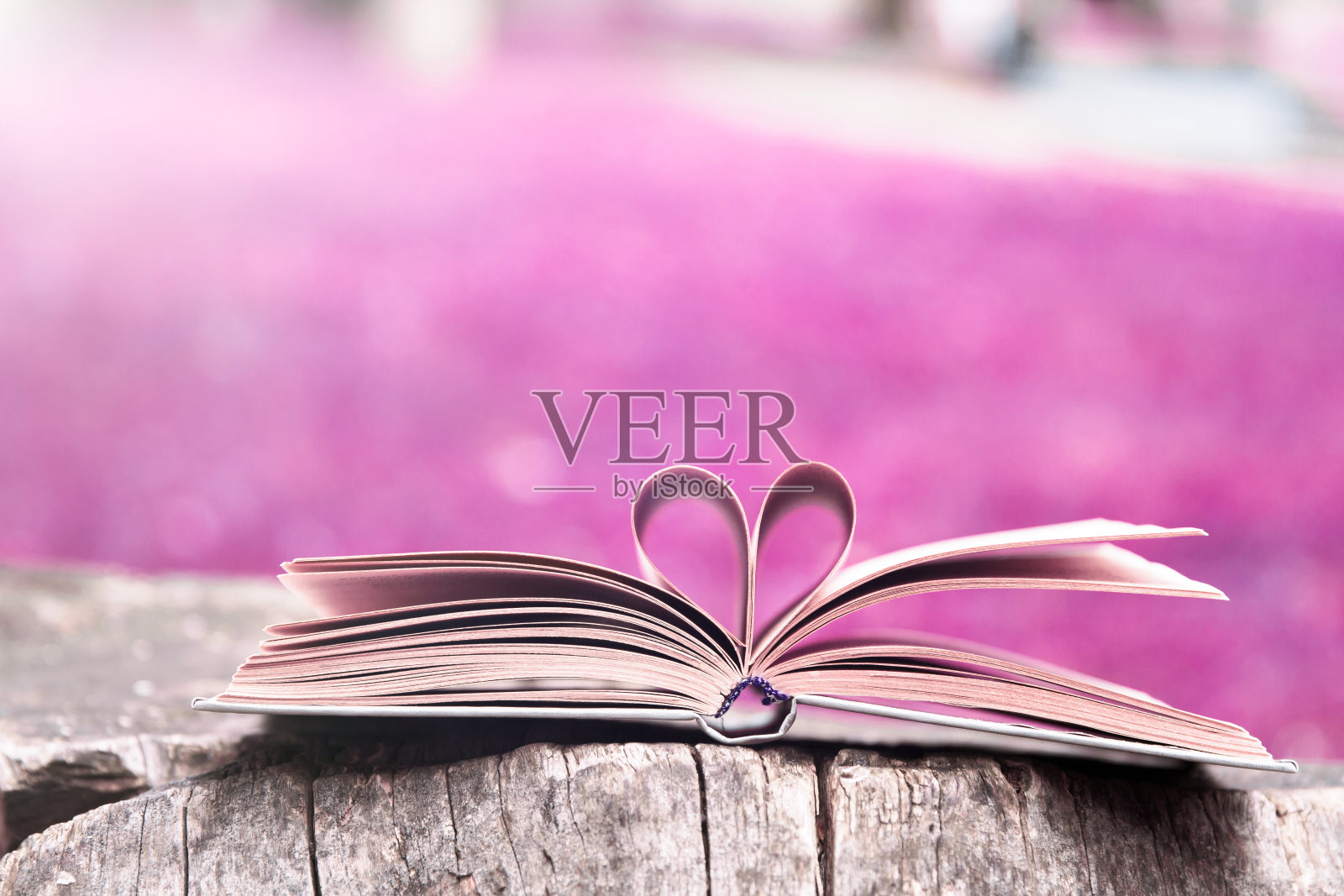 书照片摄影图片