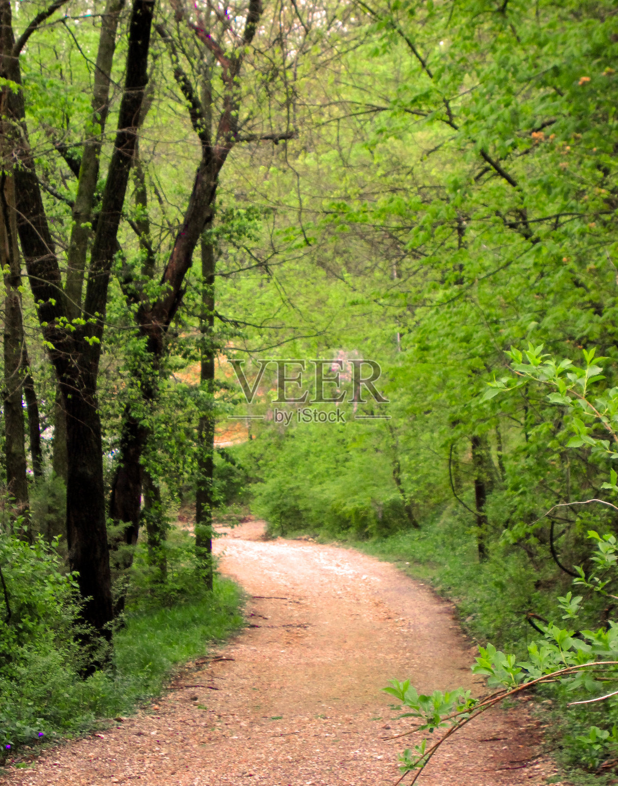这条路永不停歇照片摄影图片