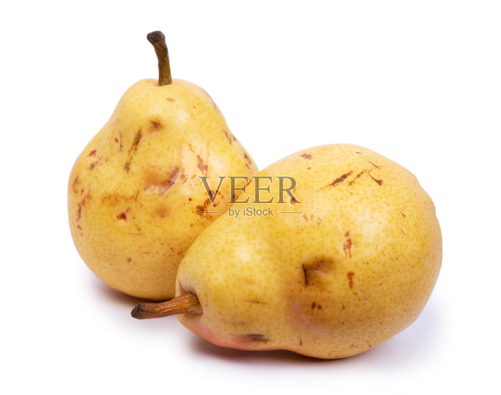 天然成熟有缺陷的梨照片摄影图片