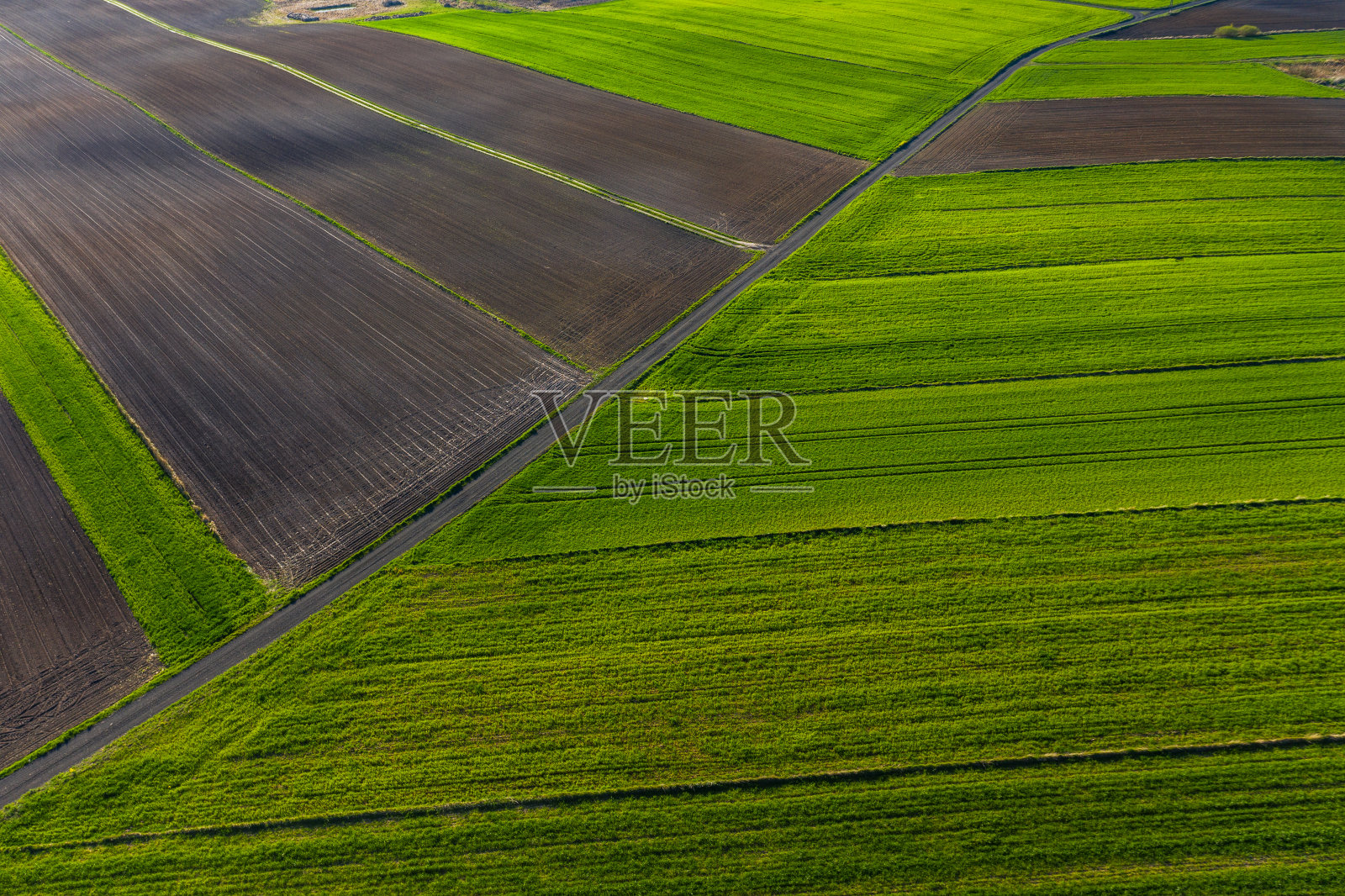 春天到了波兰的田野。无人机行动-波兰春天的田野照片摄影图片