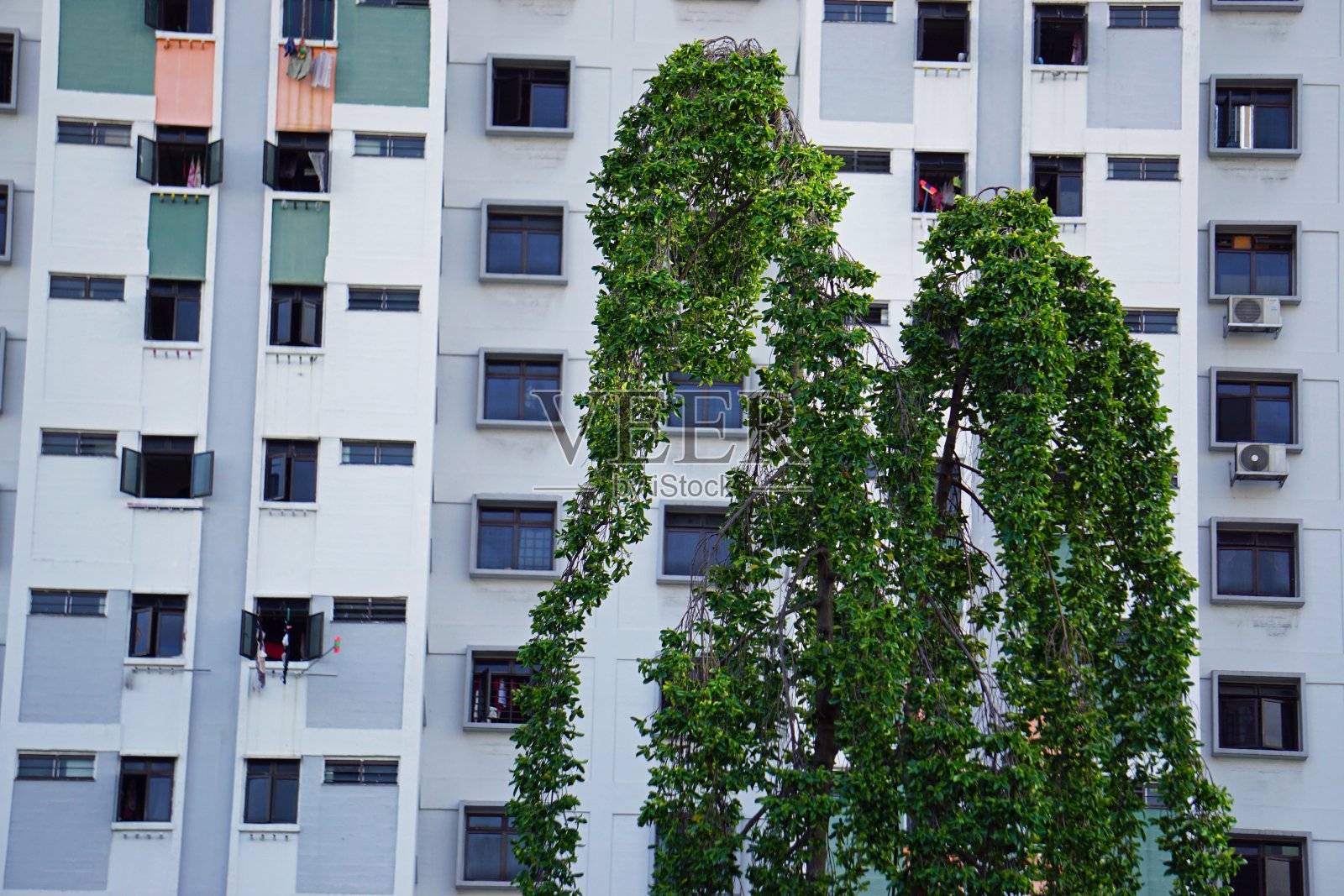 亚洲照片摄影图片