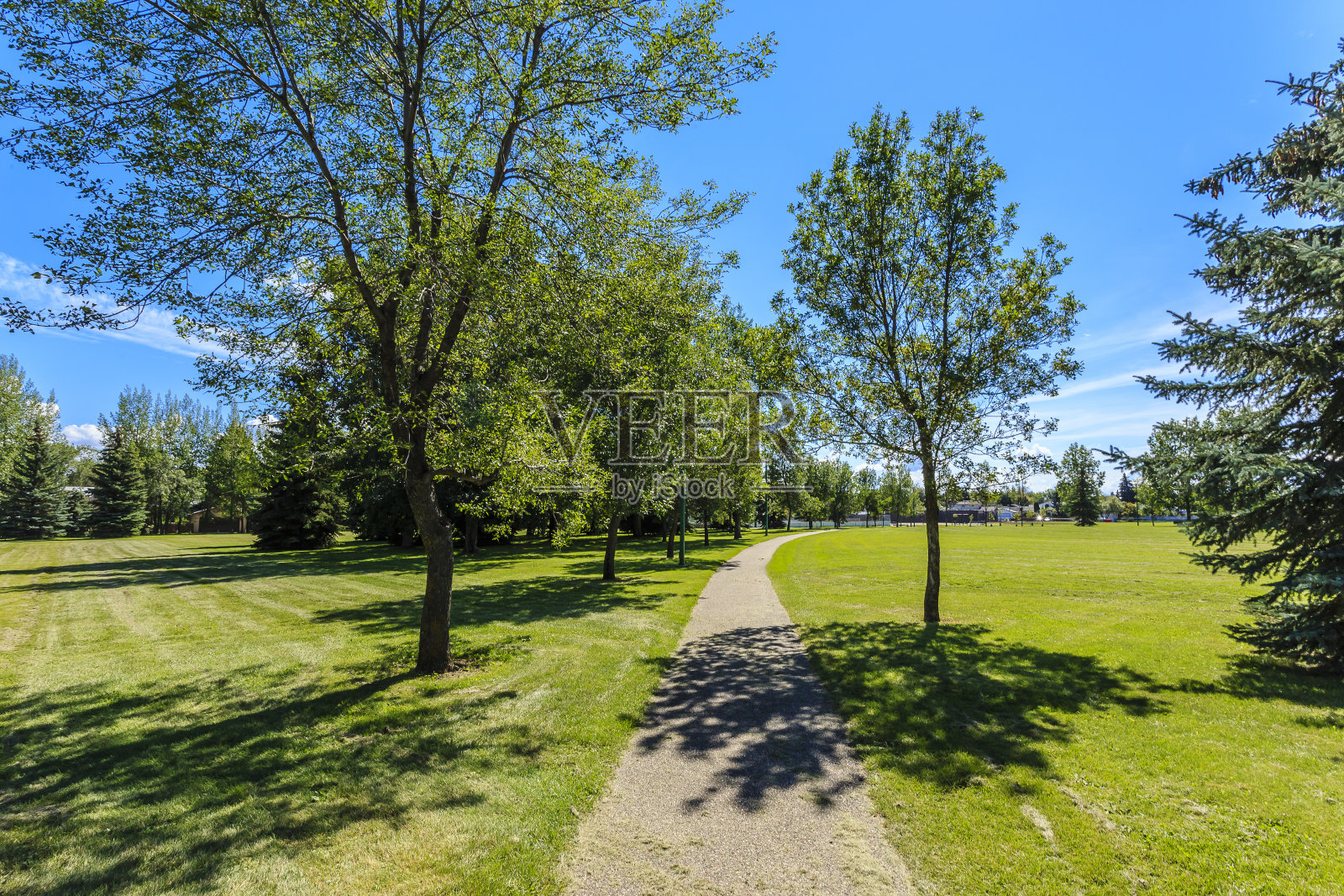 格哈德·赫兹伯格博士公园照片摄影图片