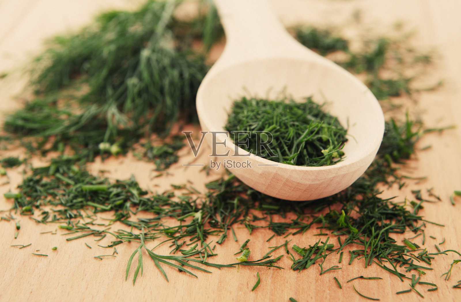 绿色莳萝照片摄影图片