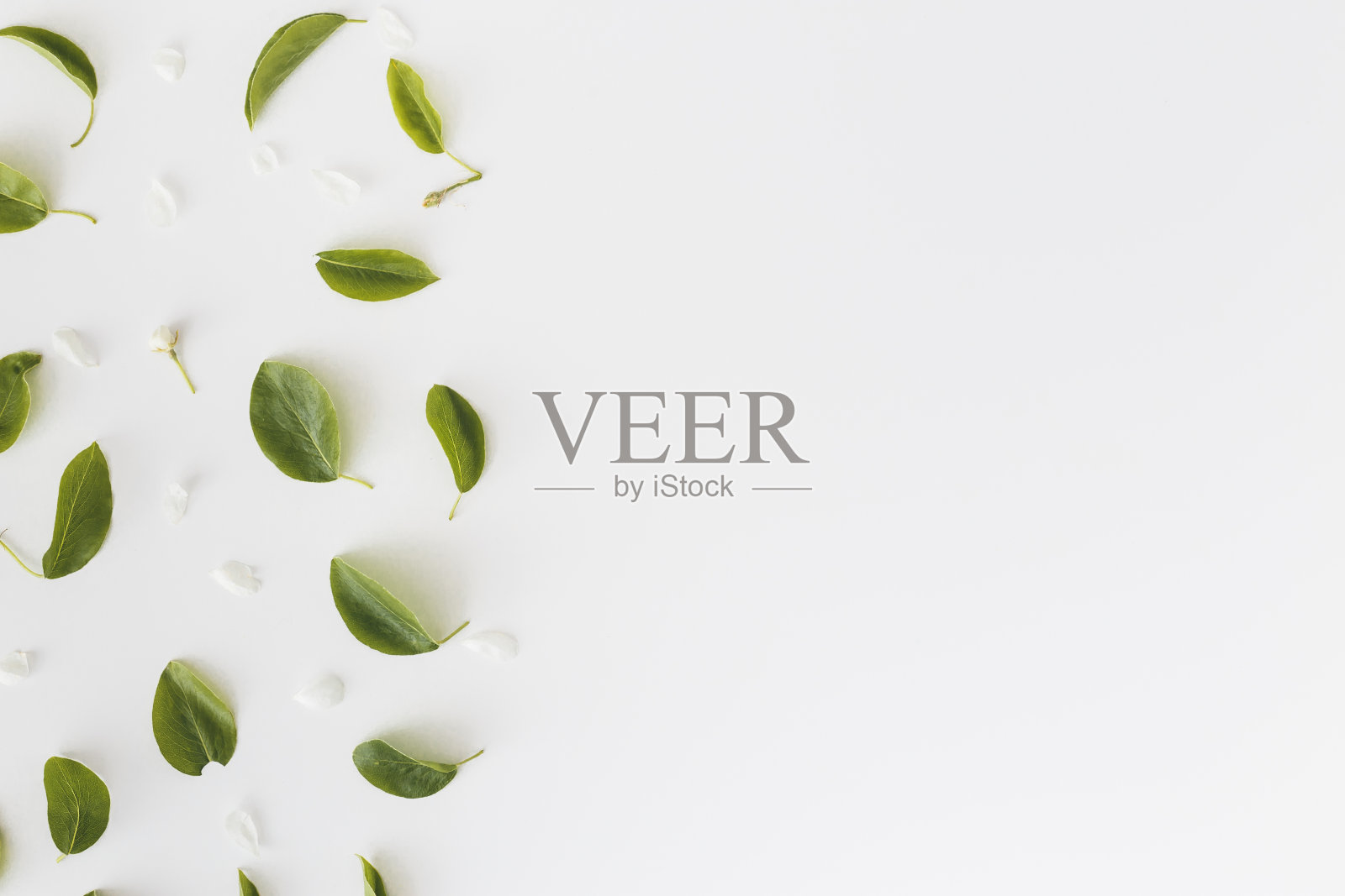 框架由叶子在白色背景与复制空间,俯视图。平躺照片摄影图片