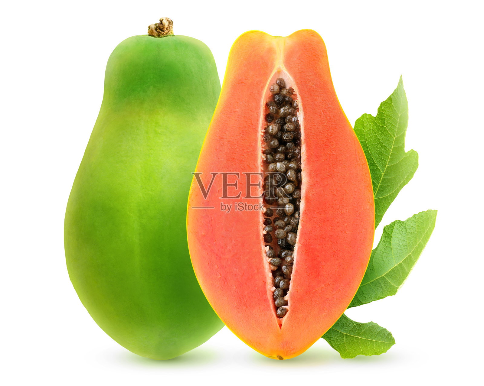 孤立的半块绿木瓜照片摄影图片