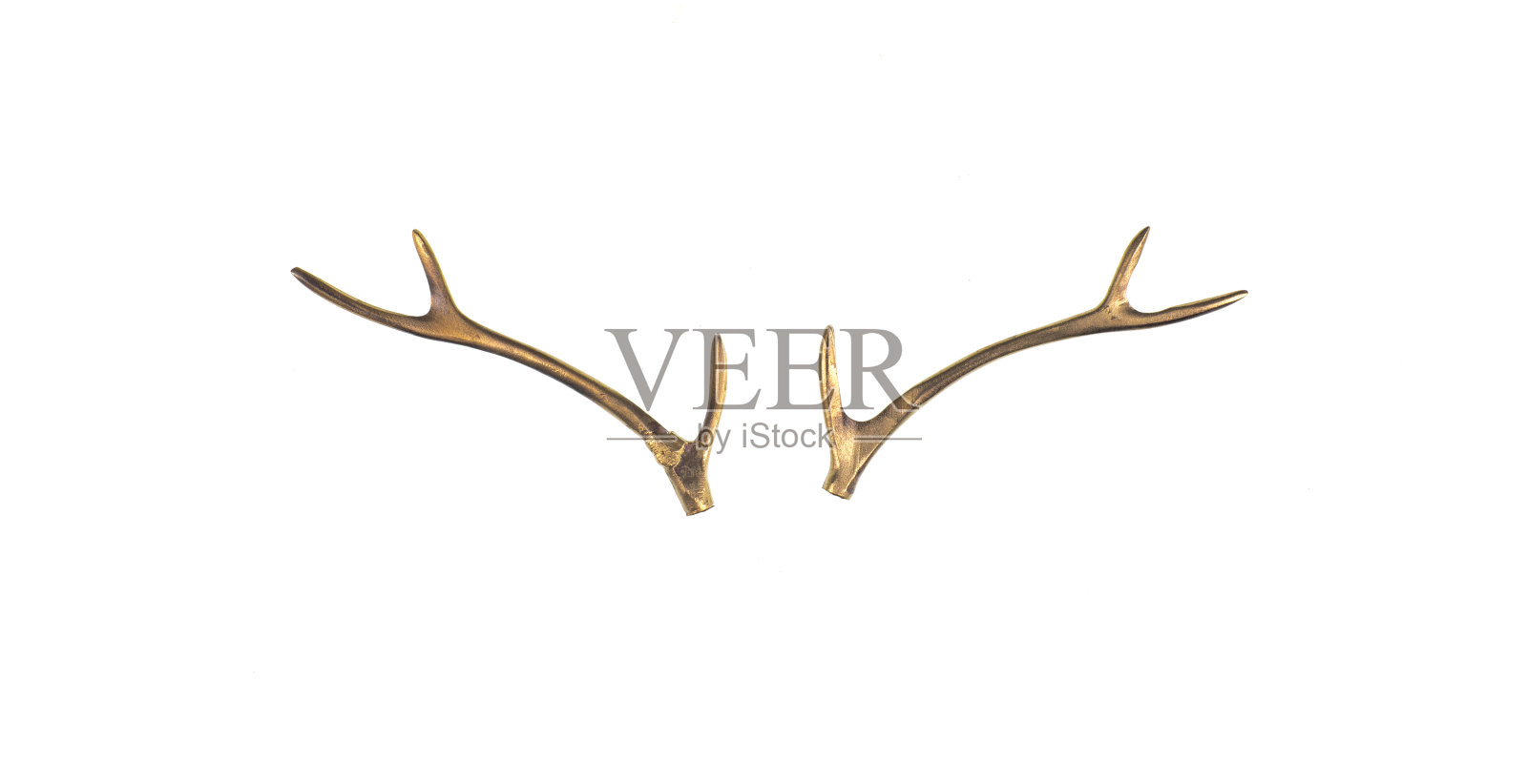 金色鹿角孤立在白色背景上照片摄影图片