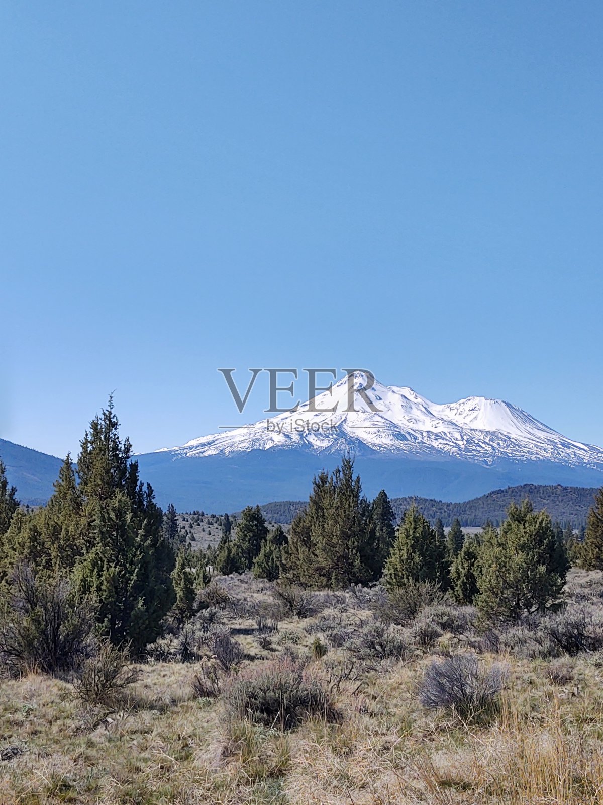 站起来,坚强地站起来照片摄影图片