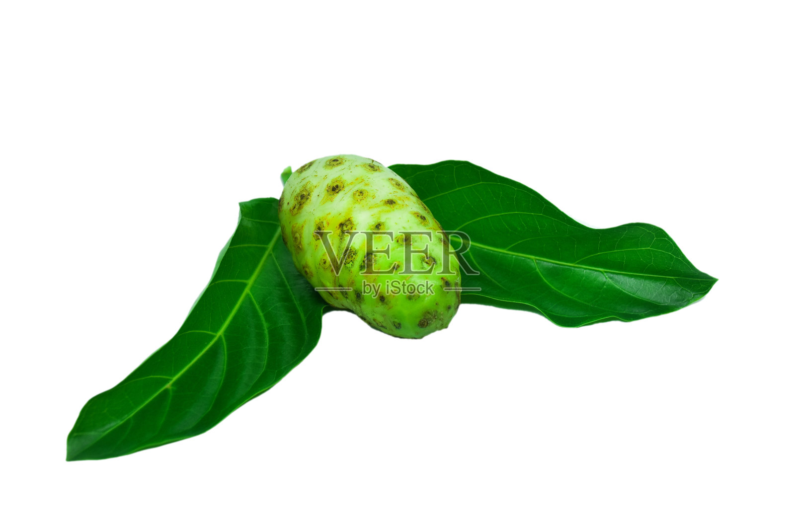 诺尼孤立的白色裁剪路径,高清图像照片摄影图片