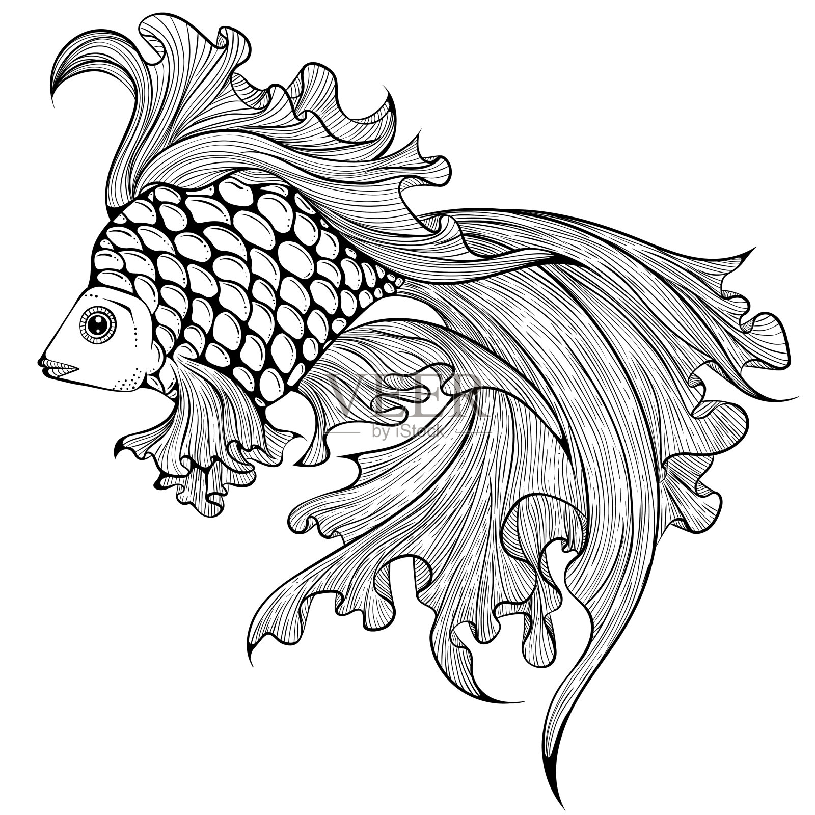 面纱鱼线艺术插画图片素材