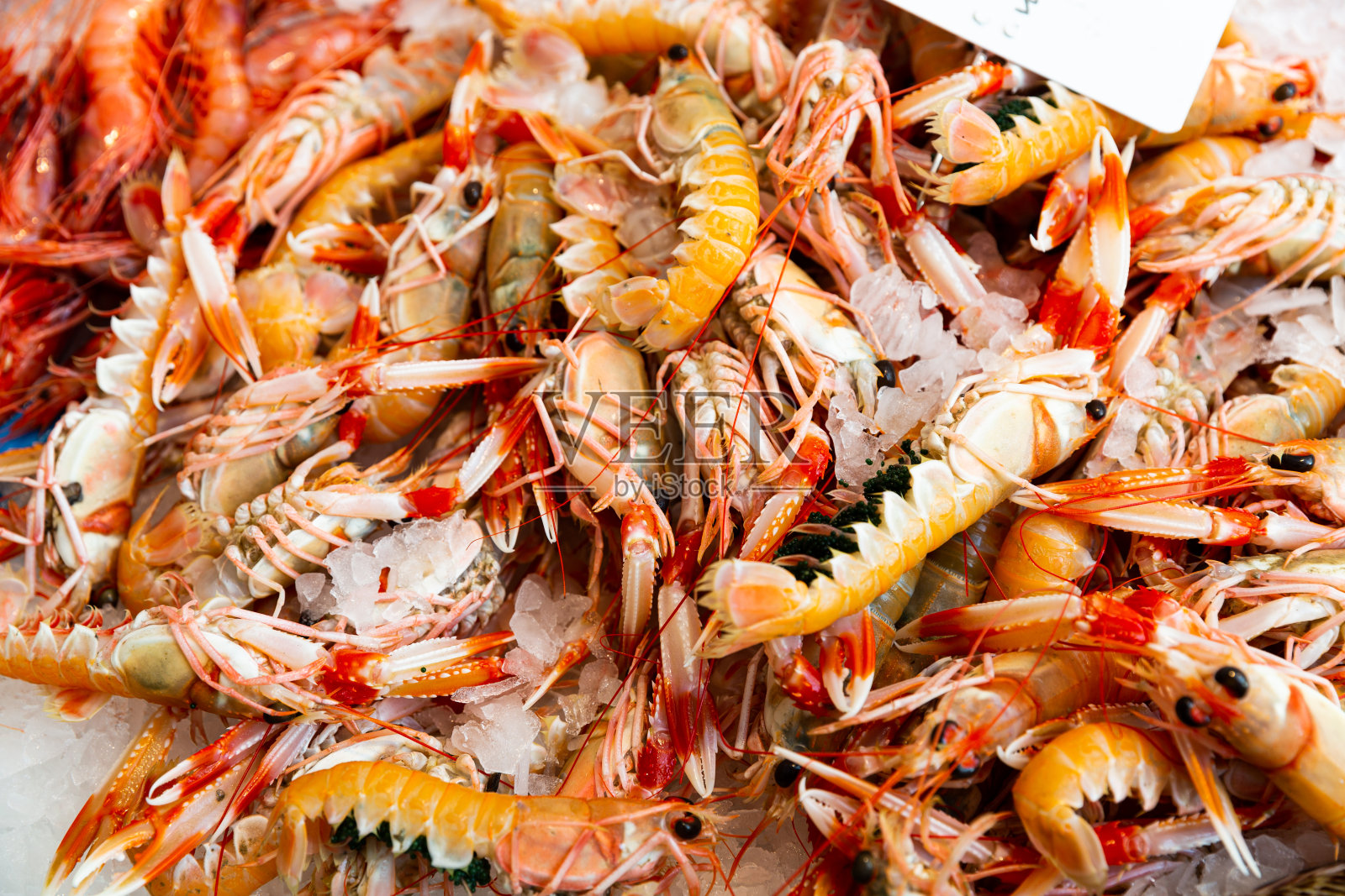 展示和虾照片摄影图片