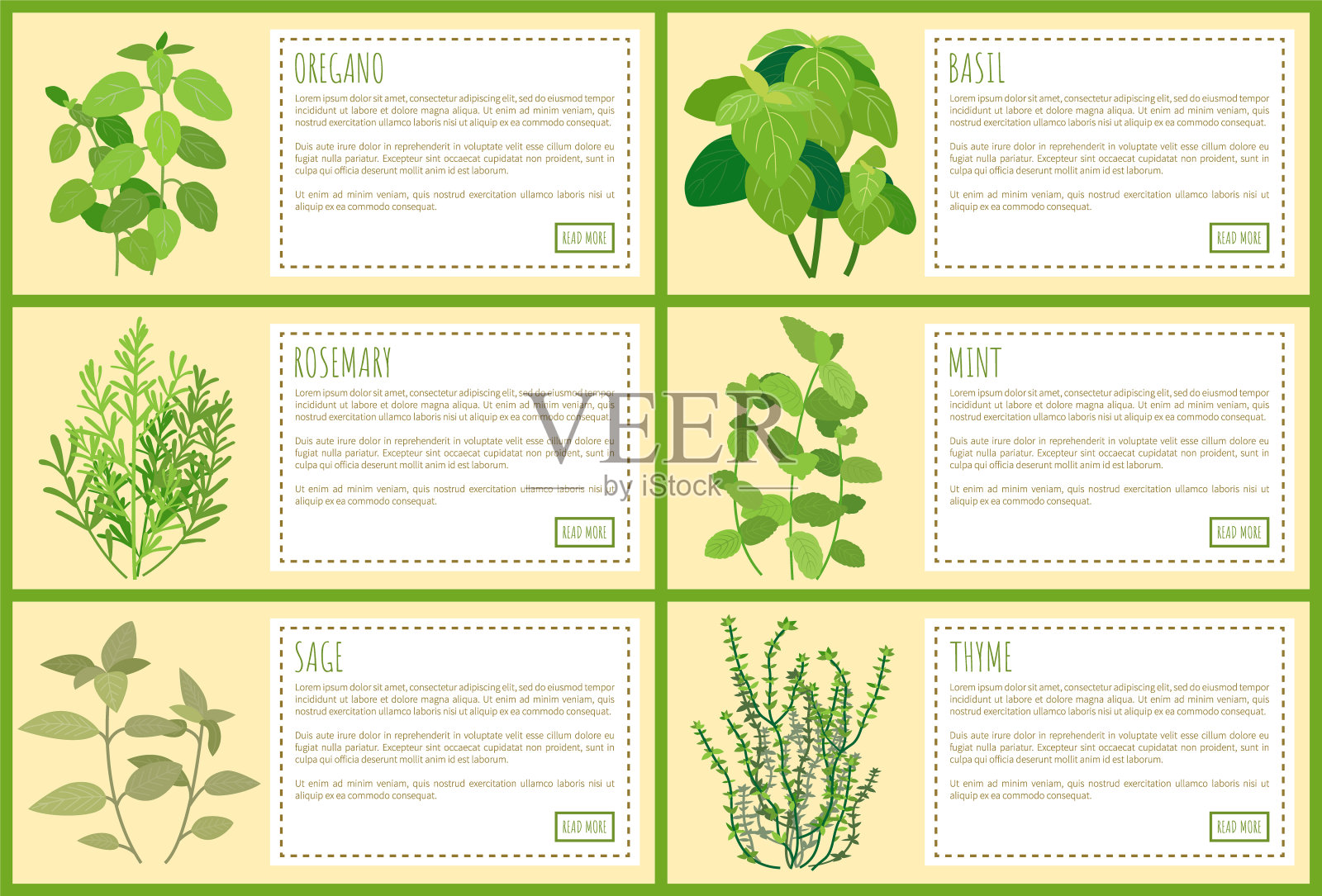 美味可食用的绿色植物在烹饪中使用设计元素图片