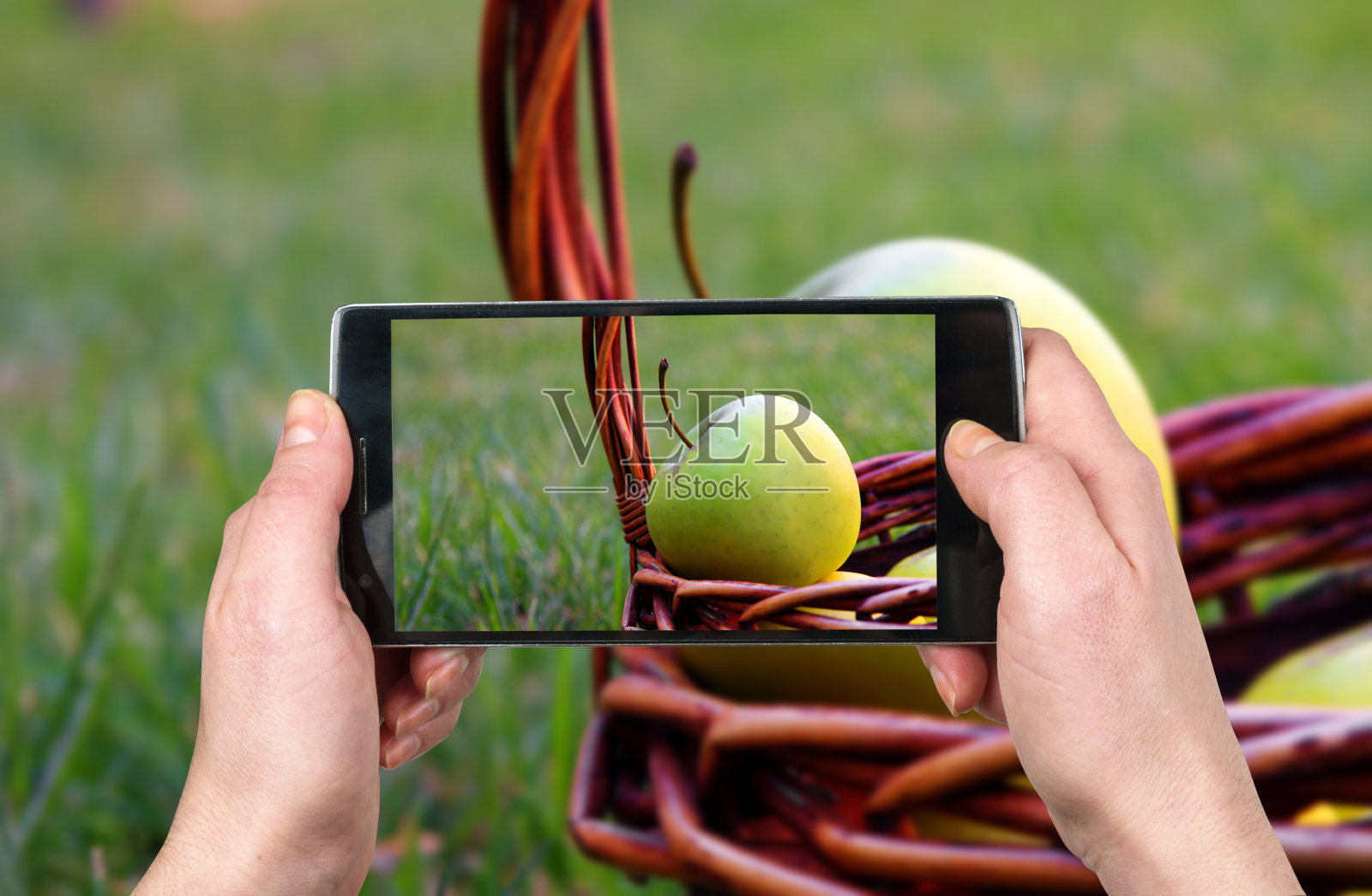 用手机拍照。苹果在篮子里照片摄影图片