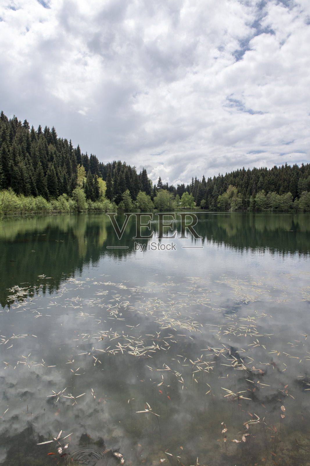 湖泊和反思照片摄影图片