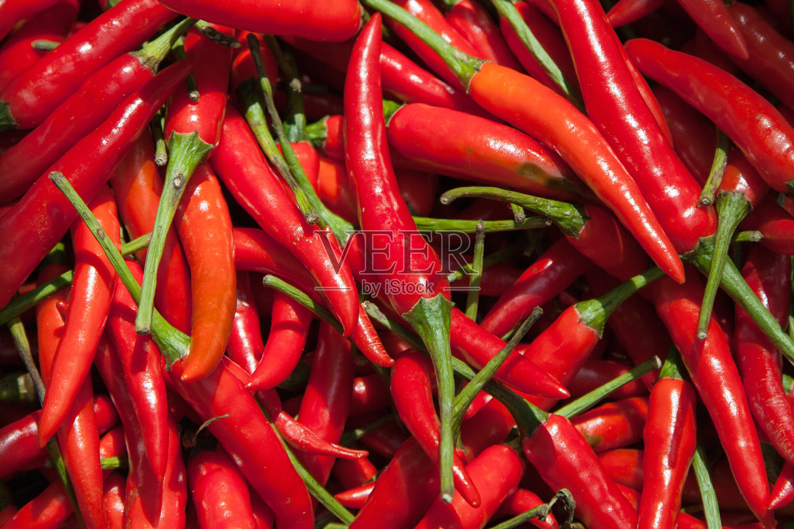 龙布里维夏府的废墟照片摄影图片